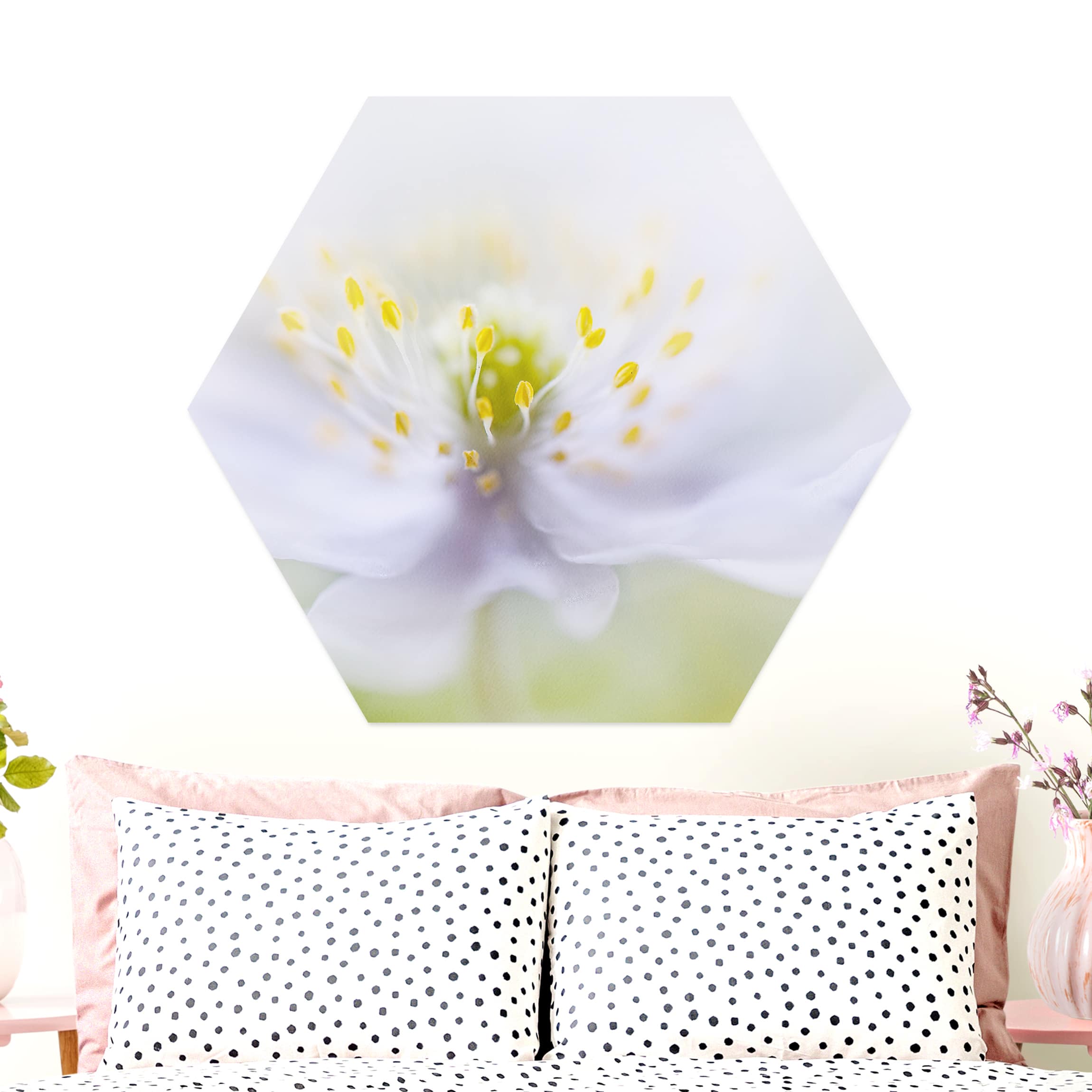 Hexagon-Alu-Dibond Bild Anemonen Schönheit