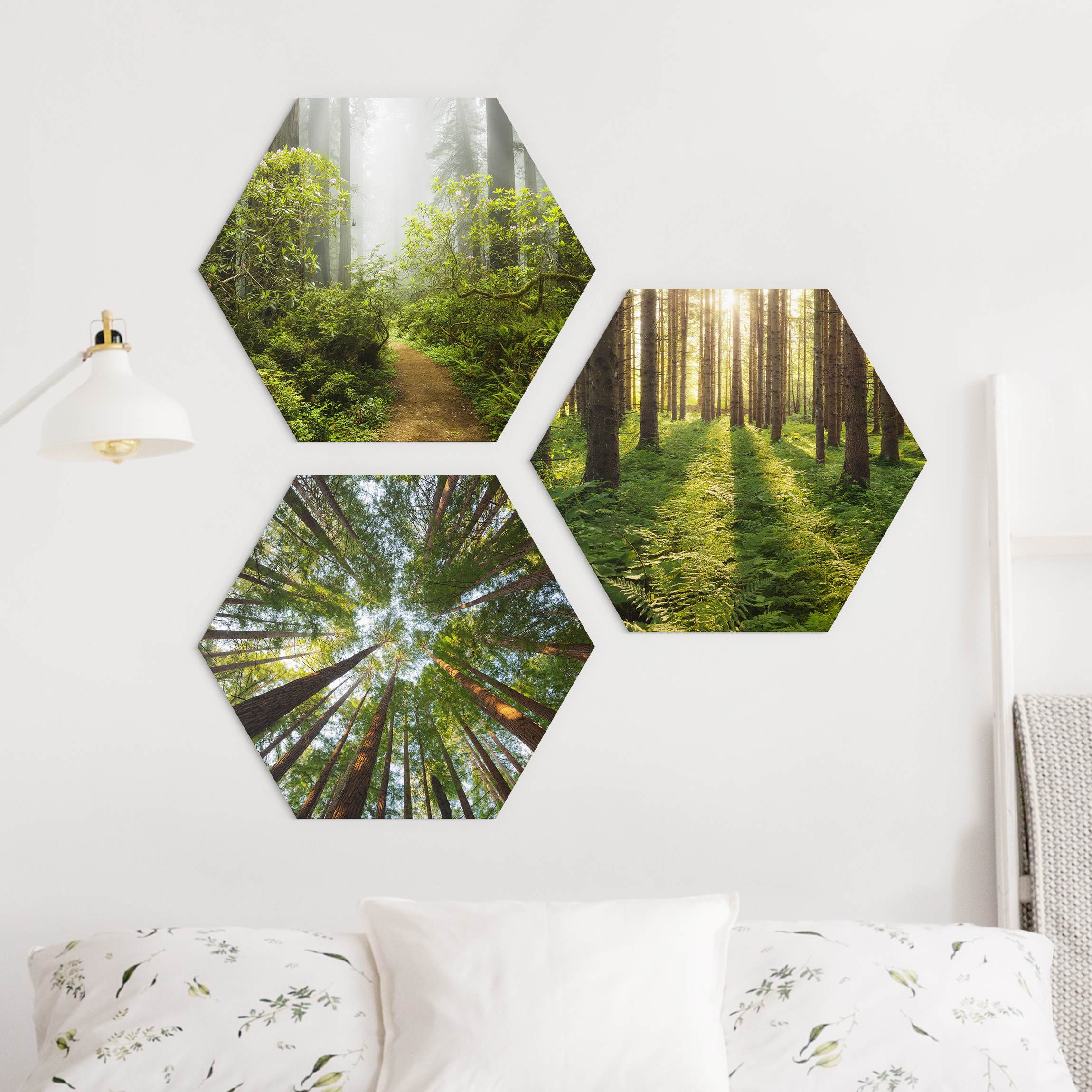 3-teiliges Hexagon-Alu-Dibond Bild Wald Trio