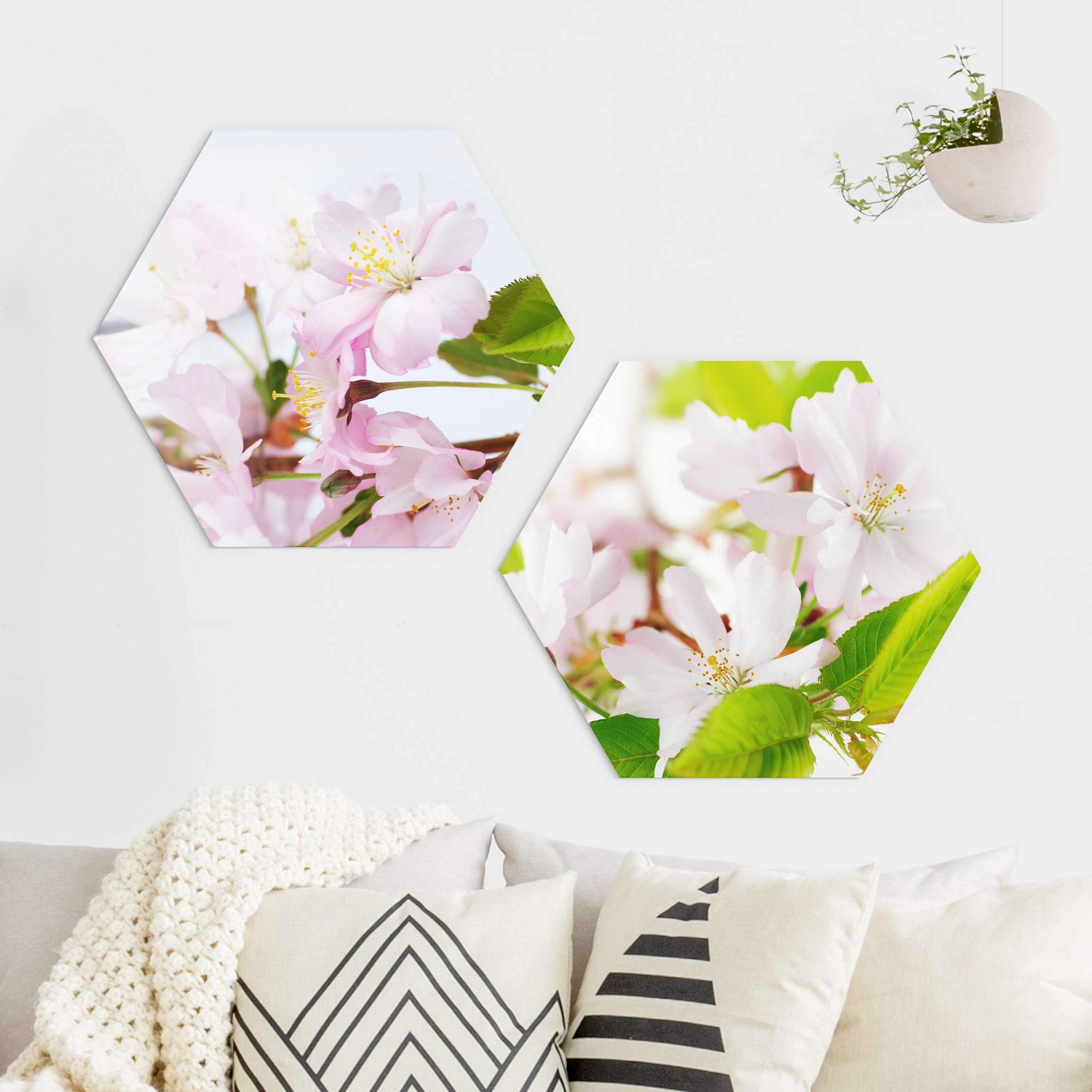 2-teiliges Hexagon-Forexbild Zierkirsche mit Blüten