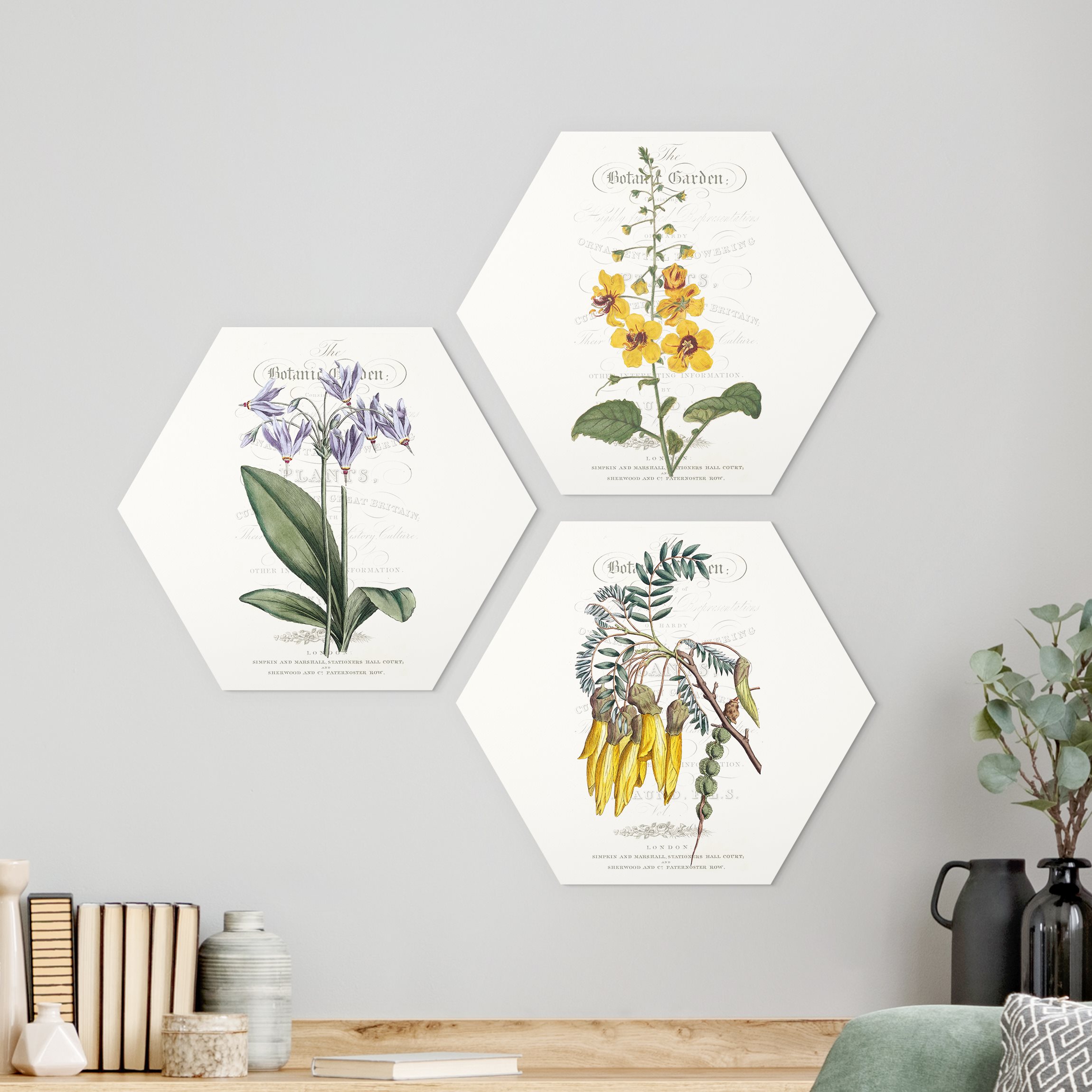 3-teiliges Hexagon-Alu-Dibond Bild Botanisches Tableau Set I