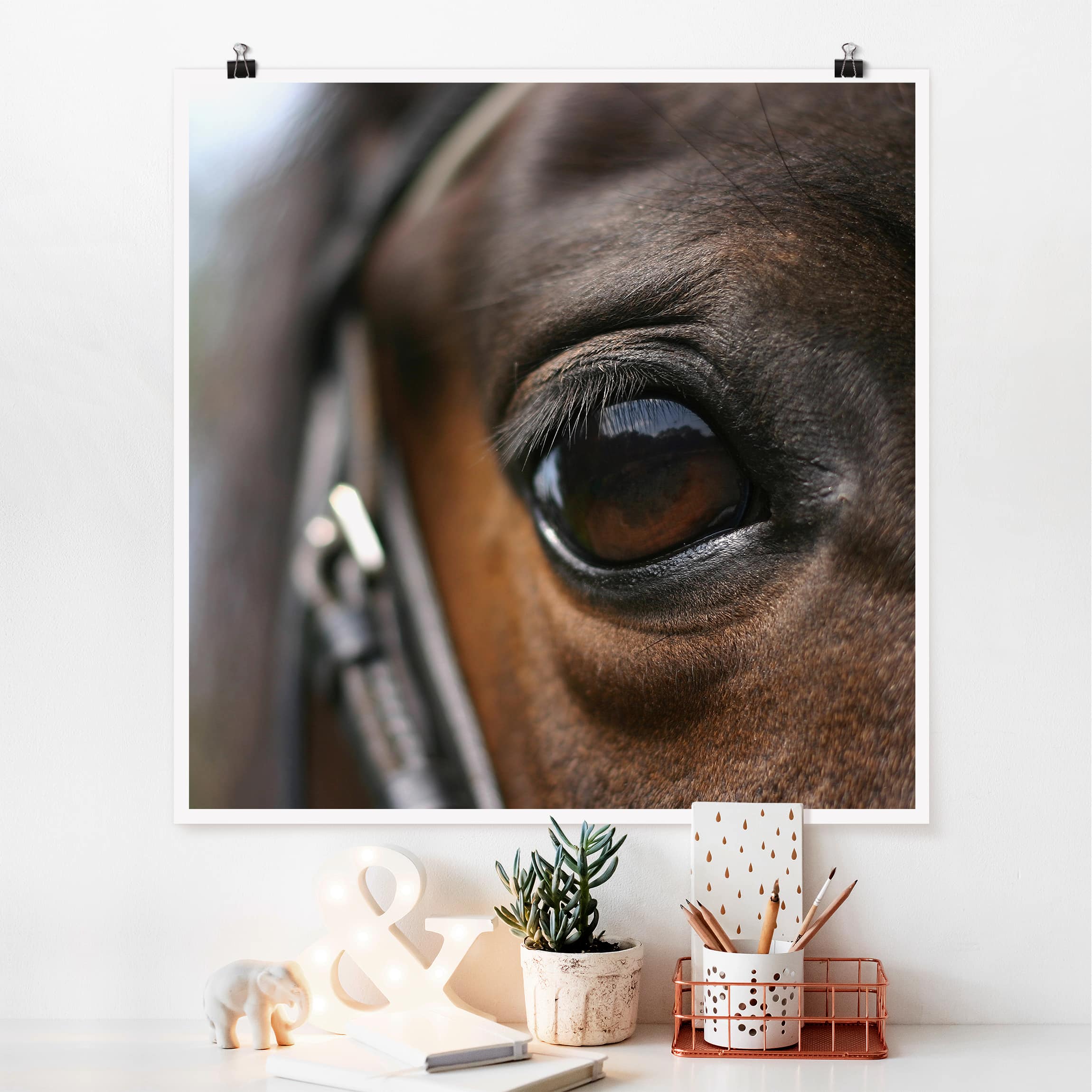 Poster - Quadrat Horse Eye No.3