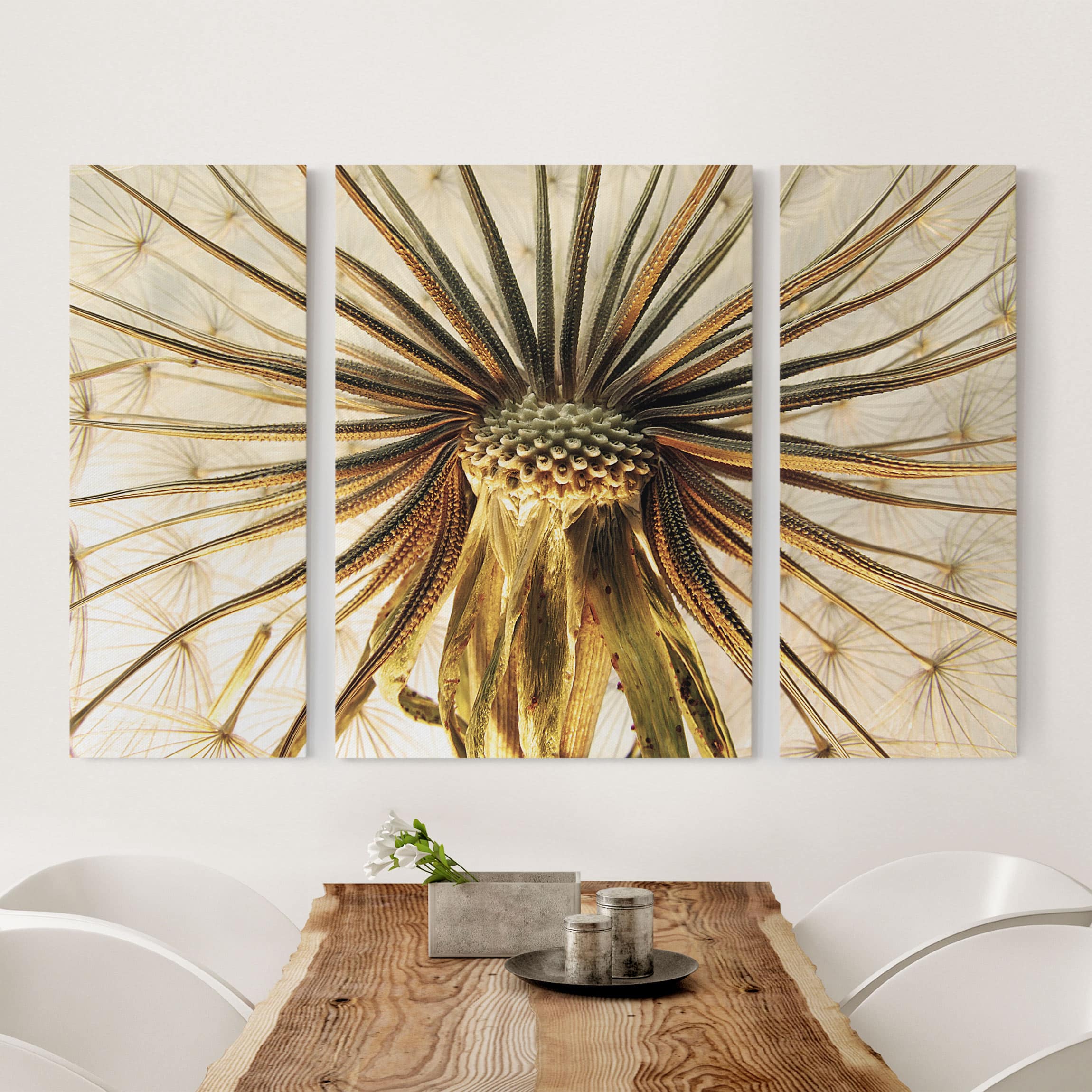 3-teiliges Leinwandbild Blumen Dandelion Close Up