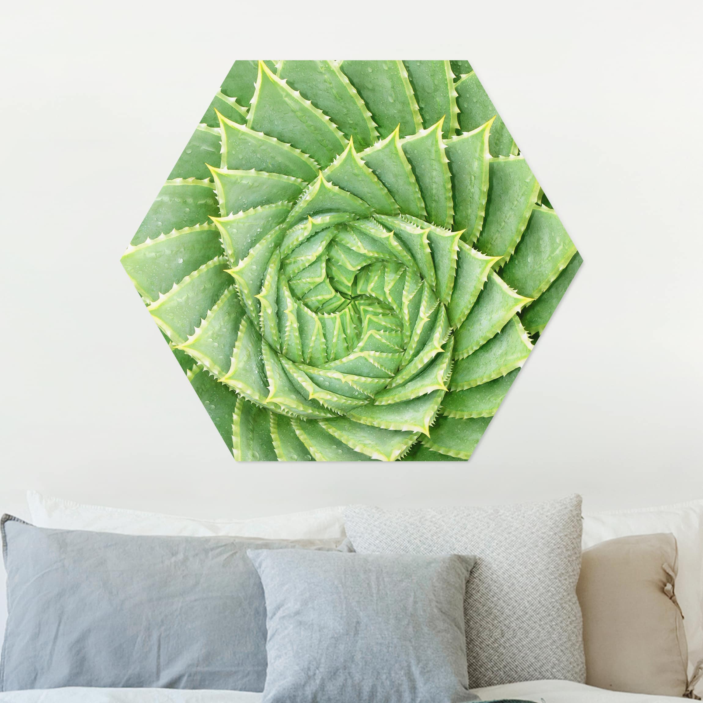 Hexagon-Alu-Dibond Bild Spiral Aloe