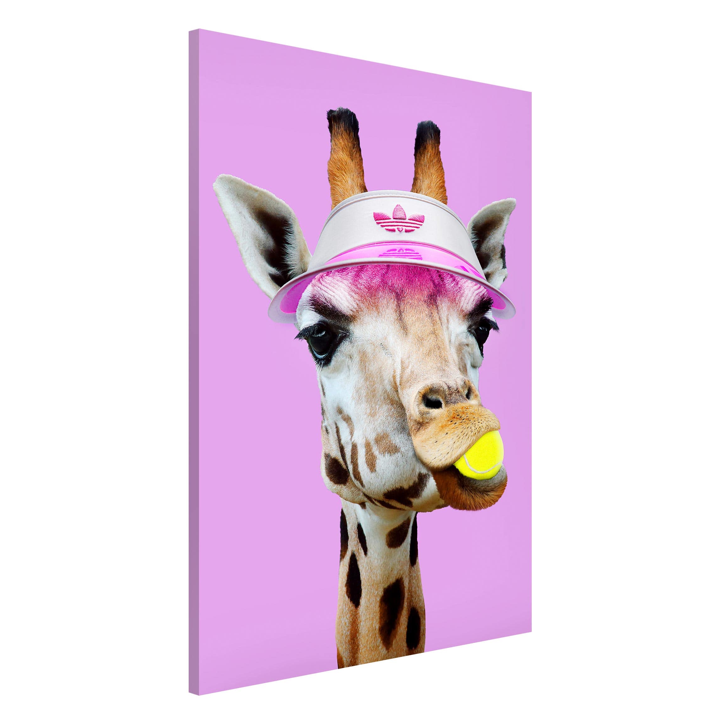 Giraffe beim Tennis