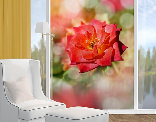 Fensterfolie Shining Rose