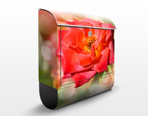 Briefkasten No.YK19 Shining Rose