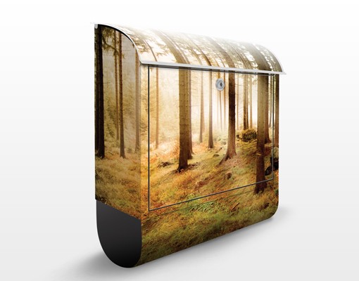 Briefkasten No.CA48 Morning Forest