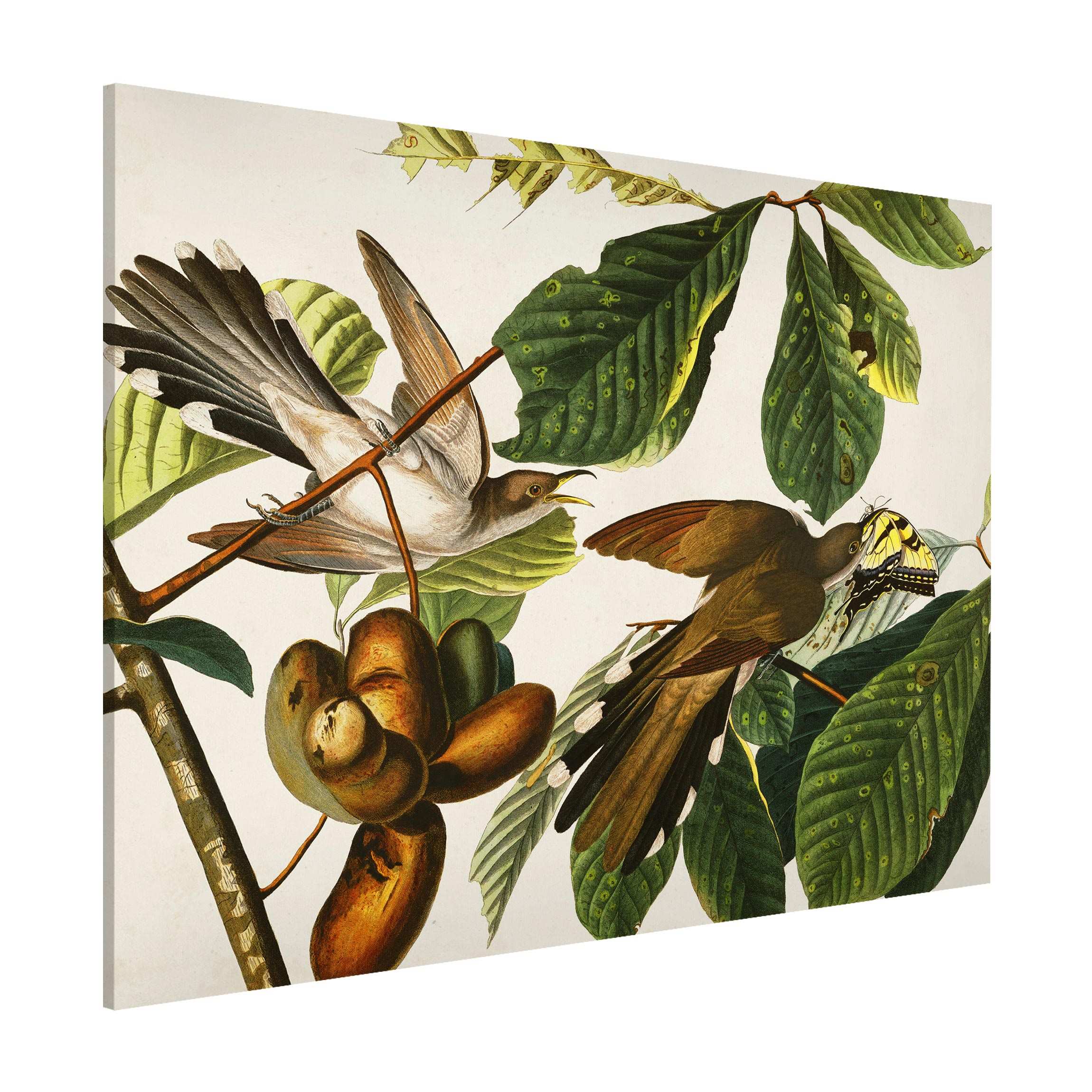 Magnettafel - Querformat 4:3 Vintage Lehrtafel Kuckuck II