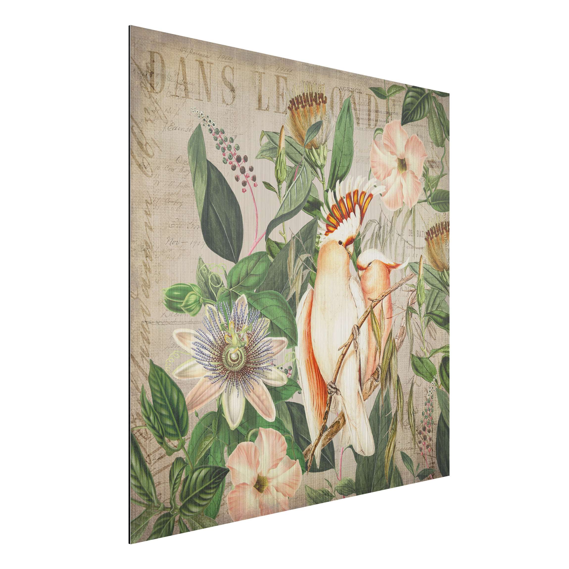 Alu-Dibond Bild Colonial Style Collage - Rosa Kakadu