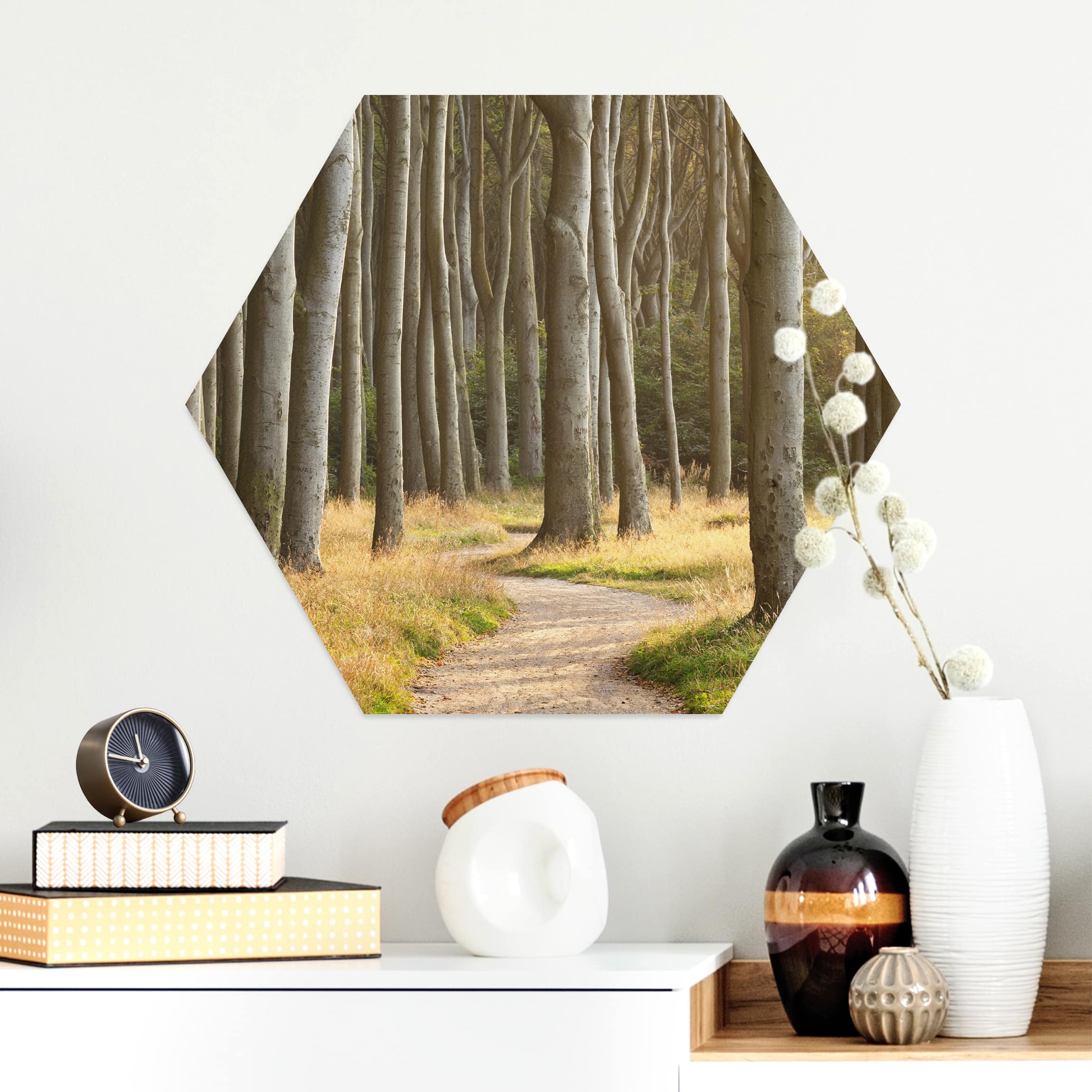 Hexagon-Alu-Dibond Bild Waldweg in Norddeutschland