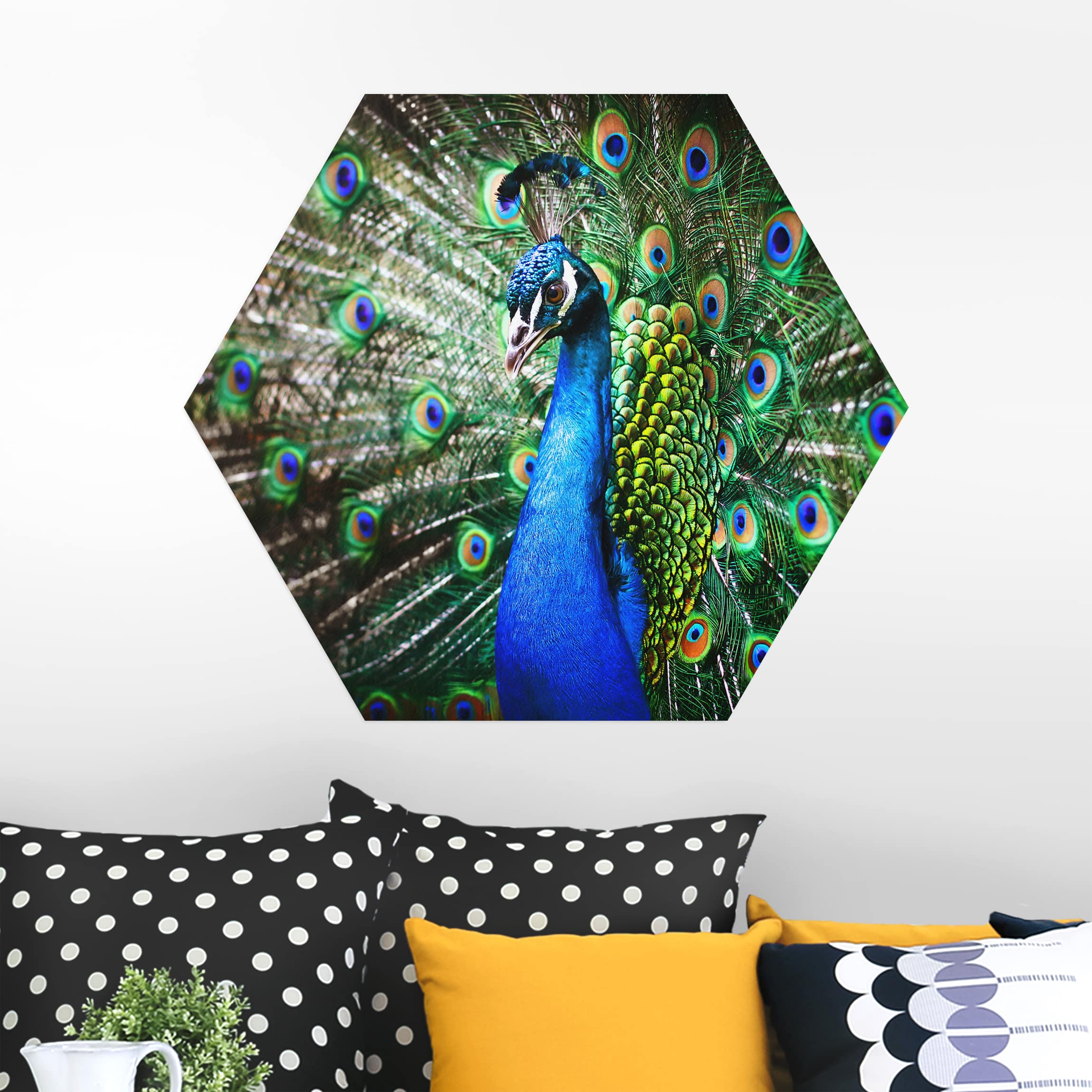 Hexagon-Alu-Dibond Bild Edler Pfau