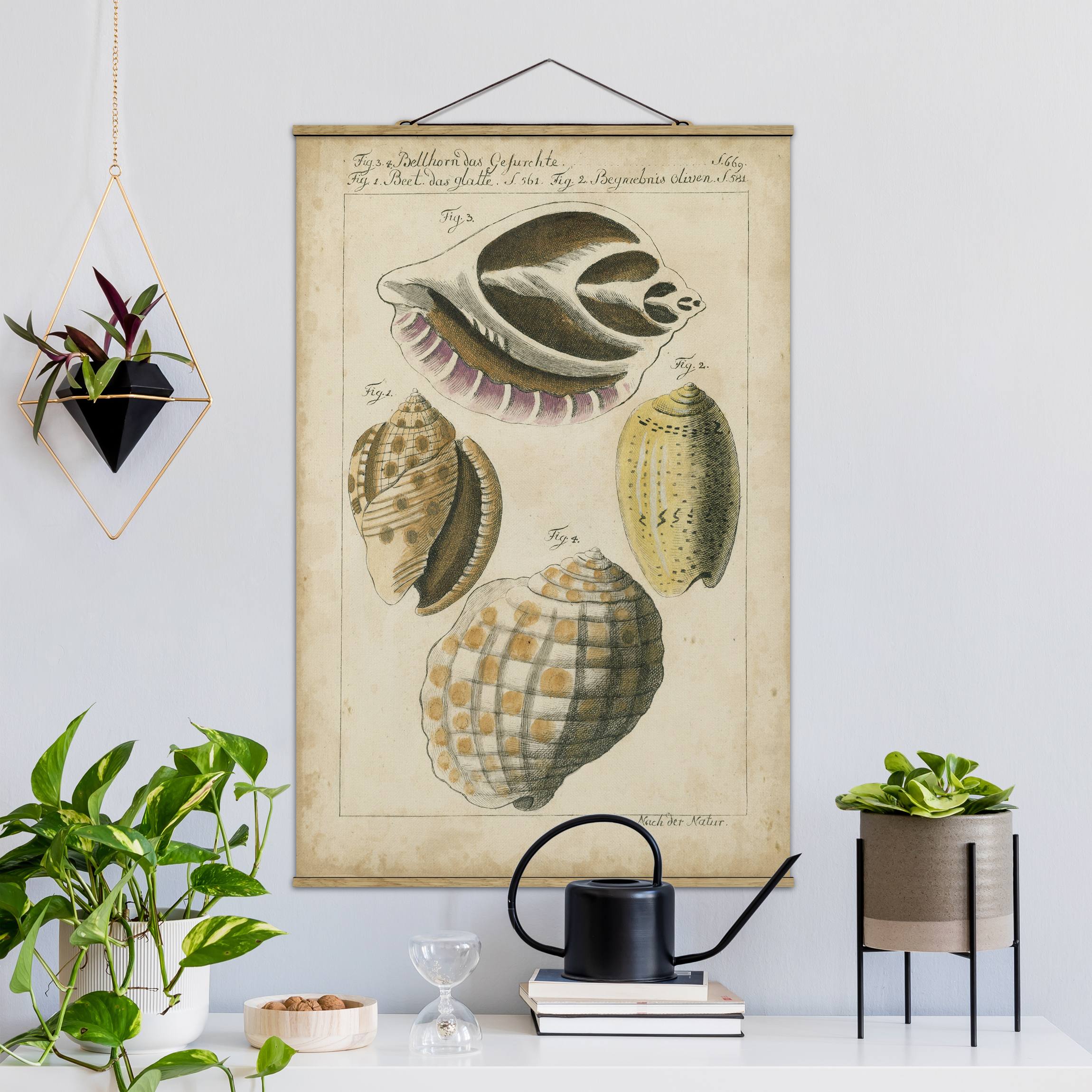 Stoffbild mit Posterleisten Vintage Muschel Zeichnung Gelb