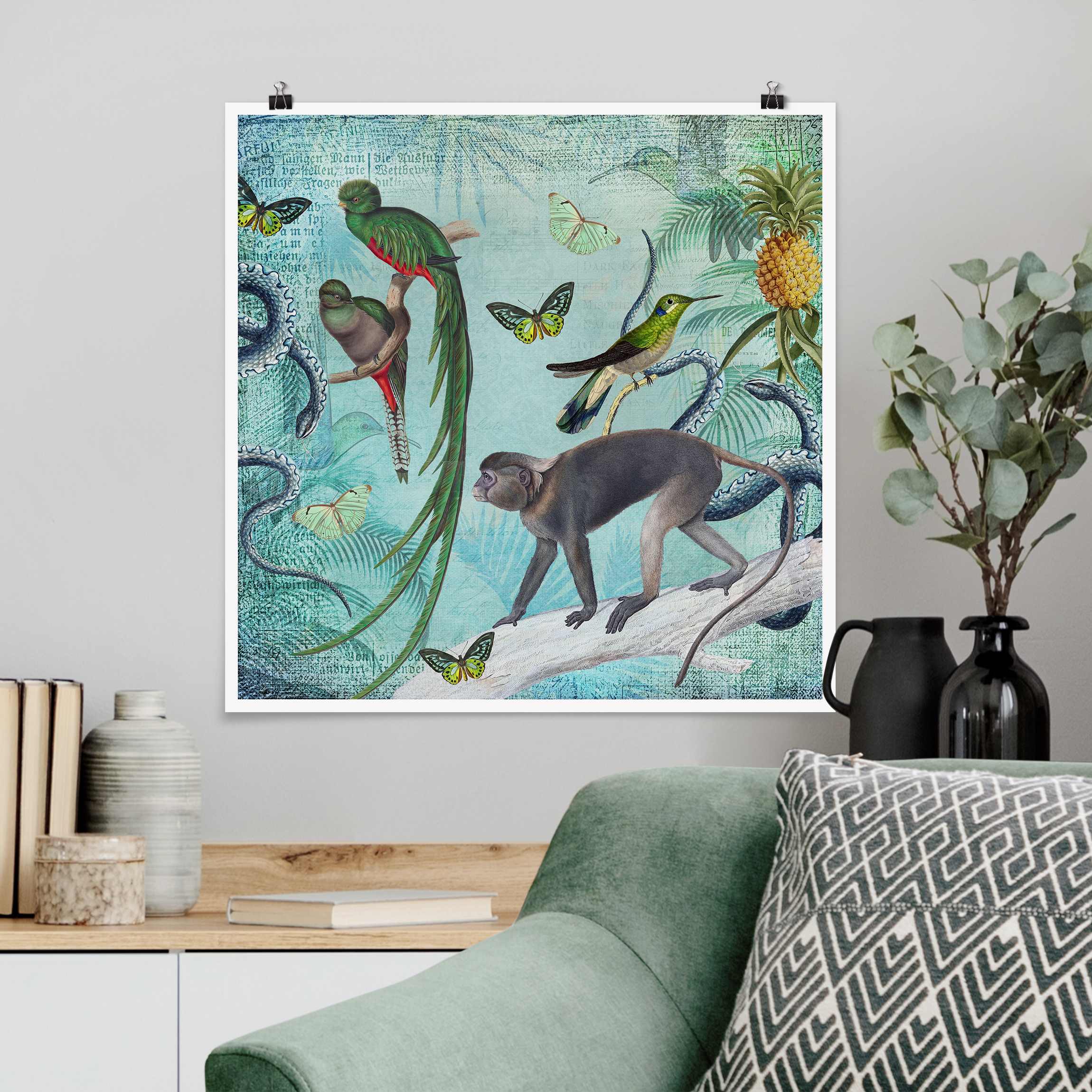 Poster Colonial Style Collage - Äffchen und Paradiesvögel