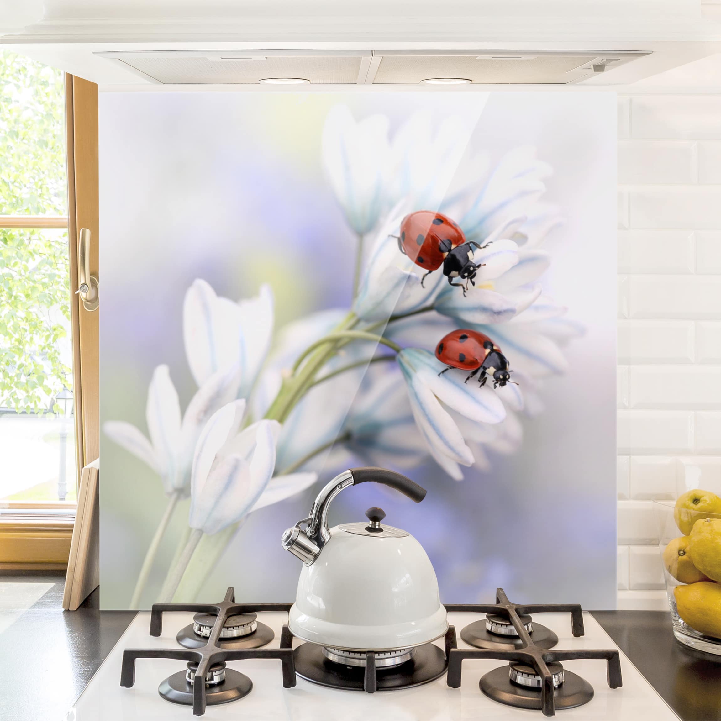 Spritzschutz Schmetterling und Marienkäfer auf Blüten