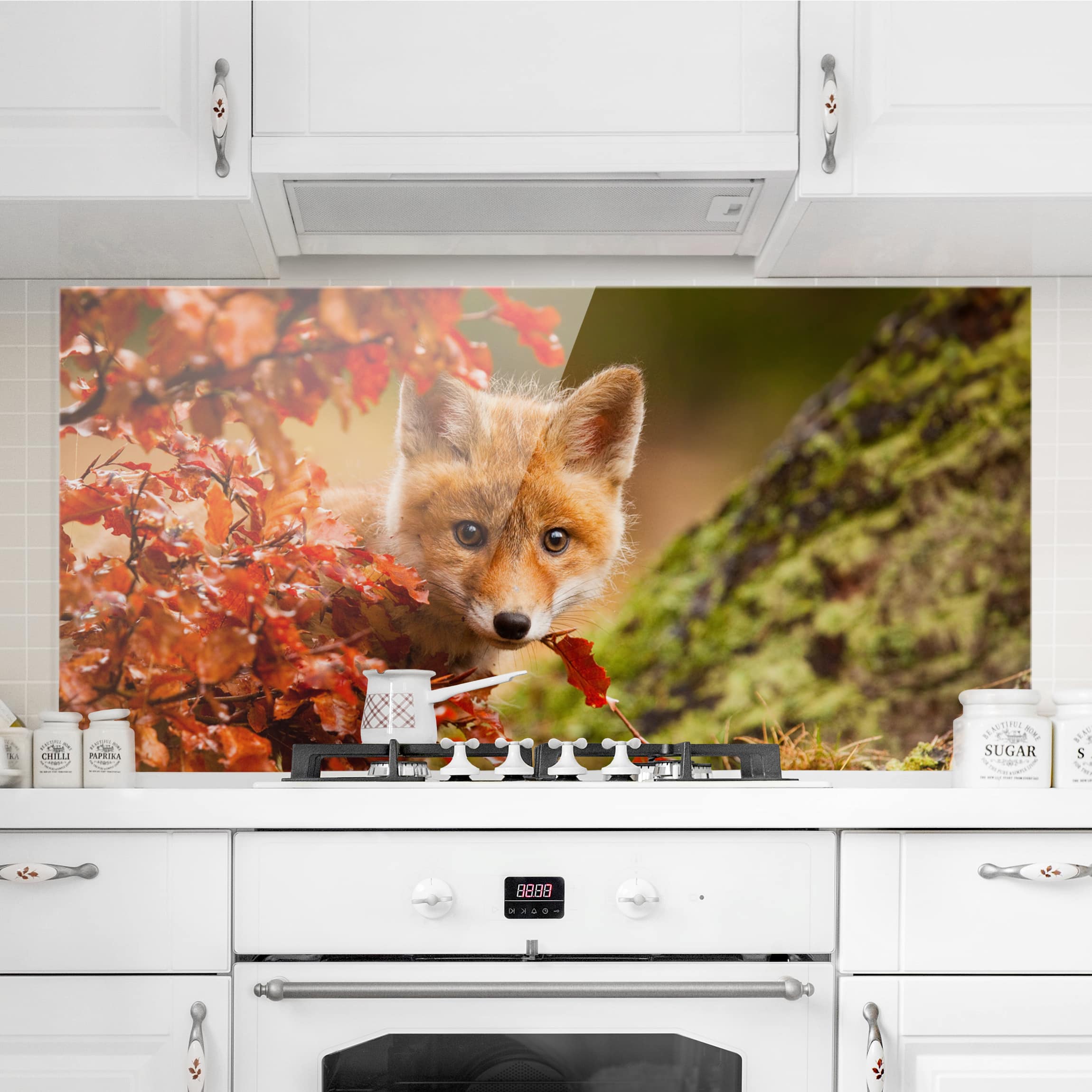 Glas Spritzschutz Fuchs im Herbst