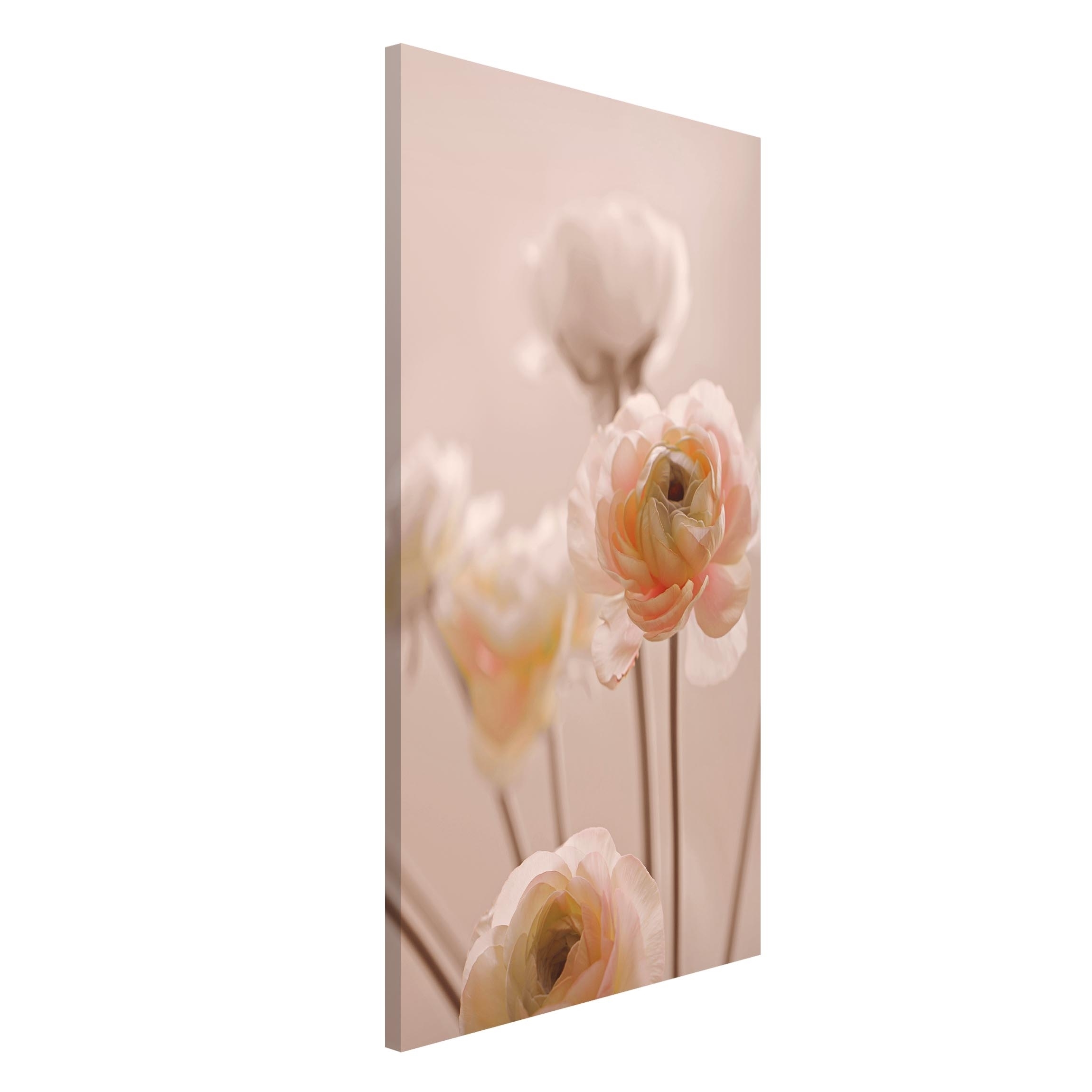 Magnettafel Zarter Strauch an Rosa Blüten
