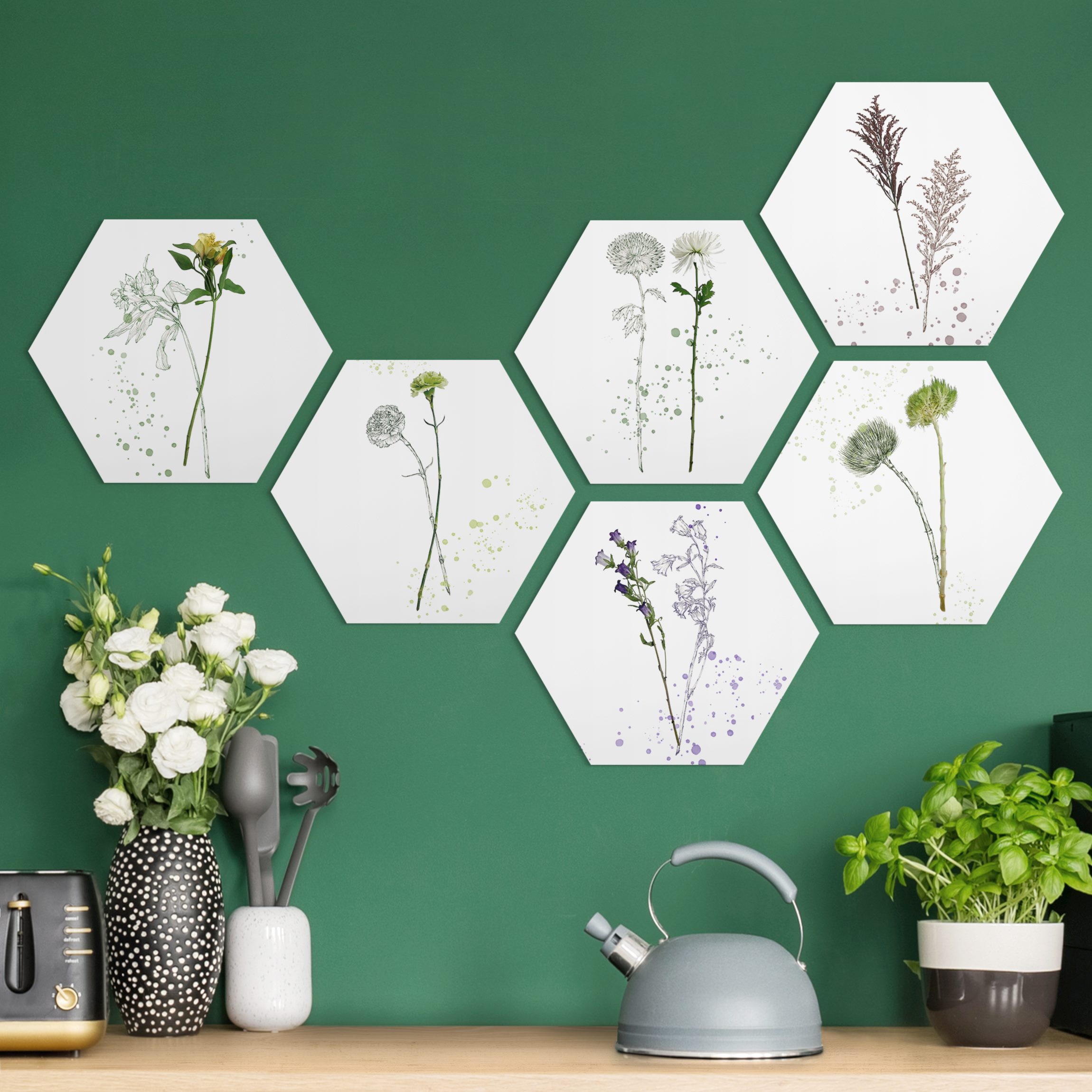 6-teiliges Hexagon-Alu-Dibond Bild Botanisches Aquarell Set II