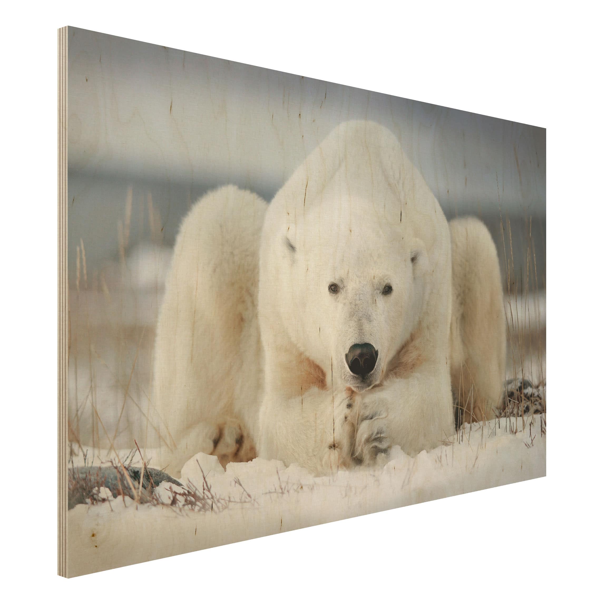 Holzbild Tiere Nachdenklicher Eisbär