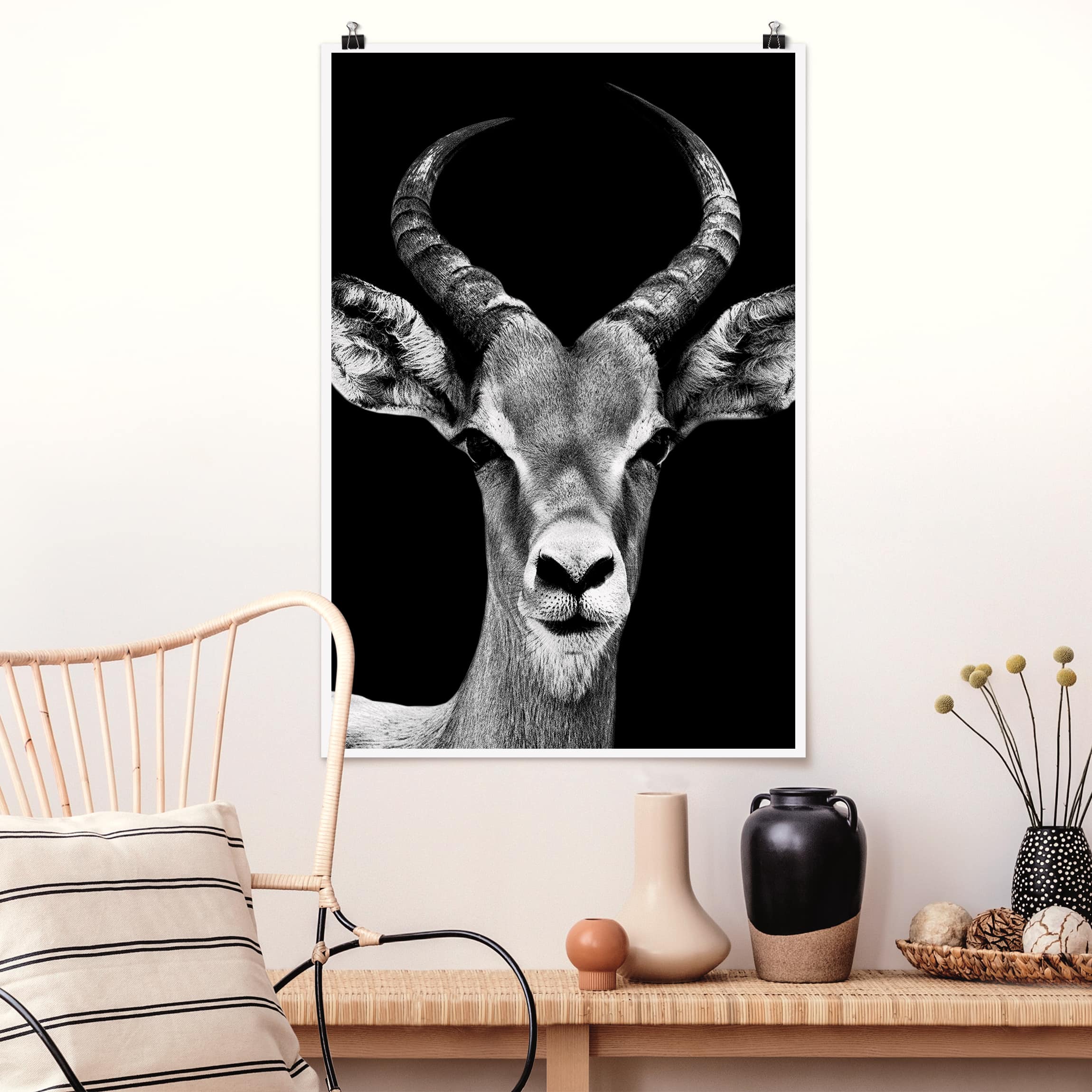 Poster - Hochformat Impala Antilope schwarz-weiß