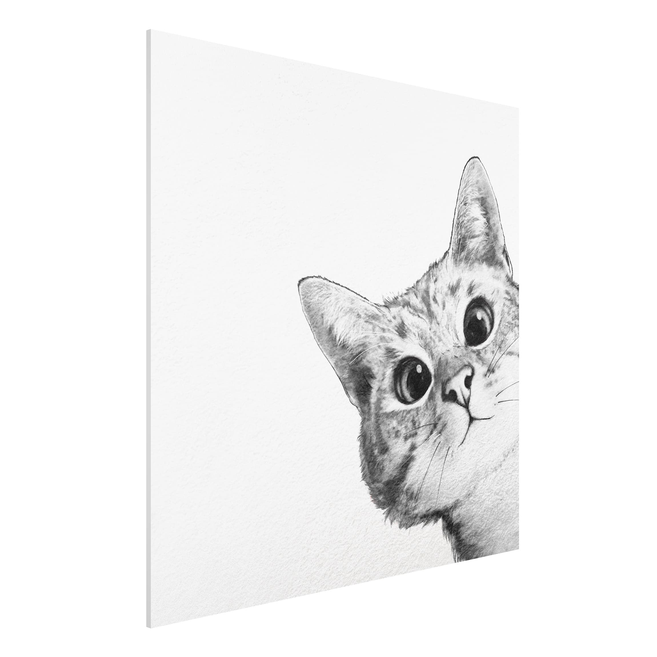 Forexbild Illustration Katze Zeichnung Schwarz Weiß