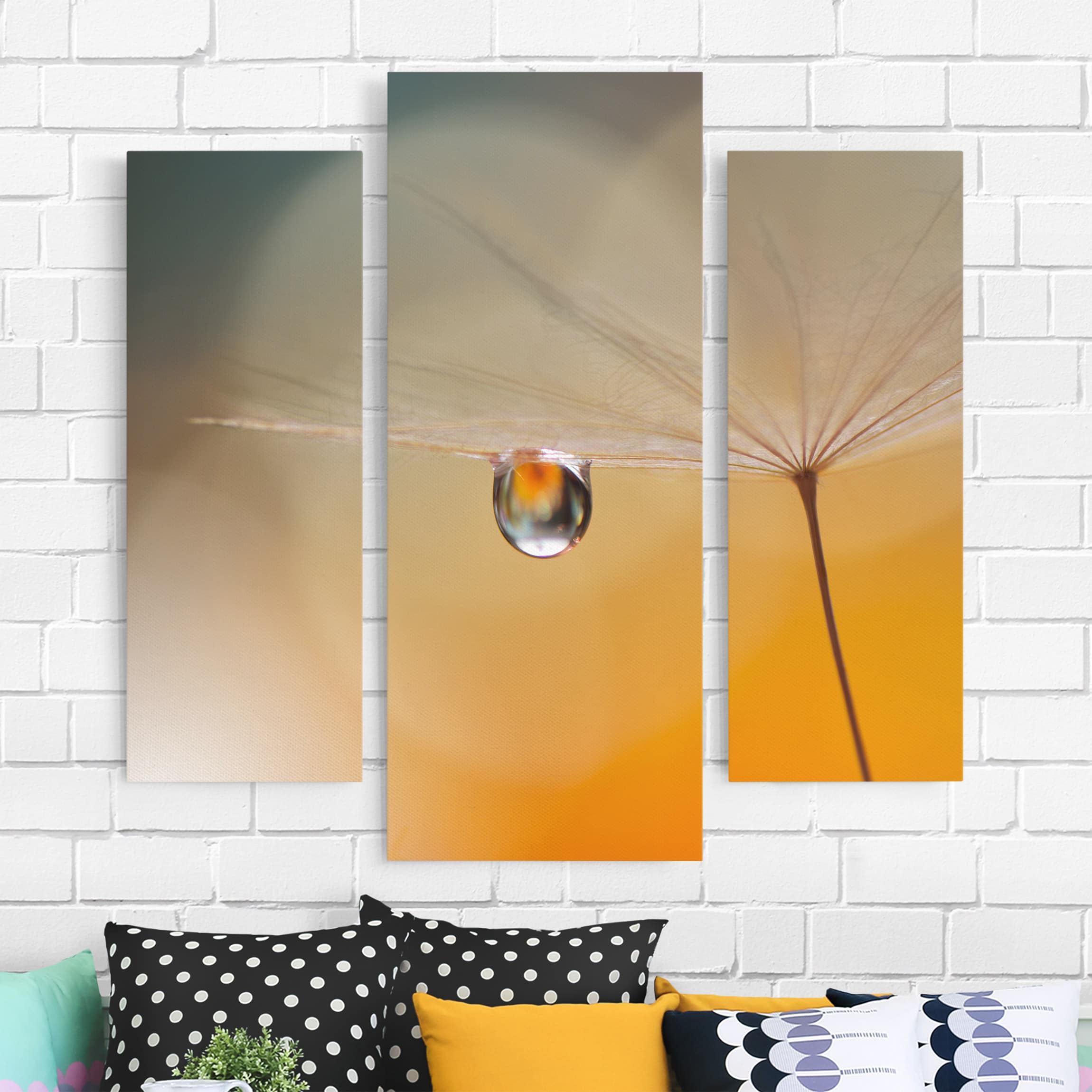 3-teiliges Leinwandbild Blumen Pusteblume in Orange