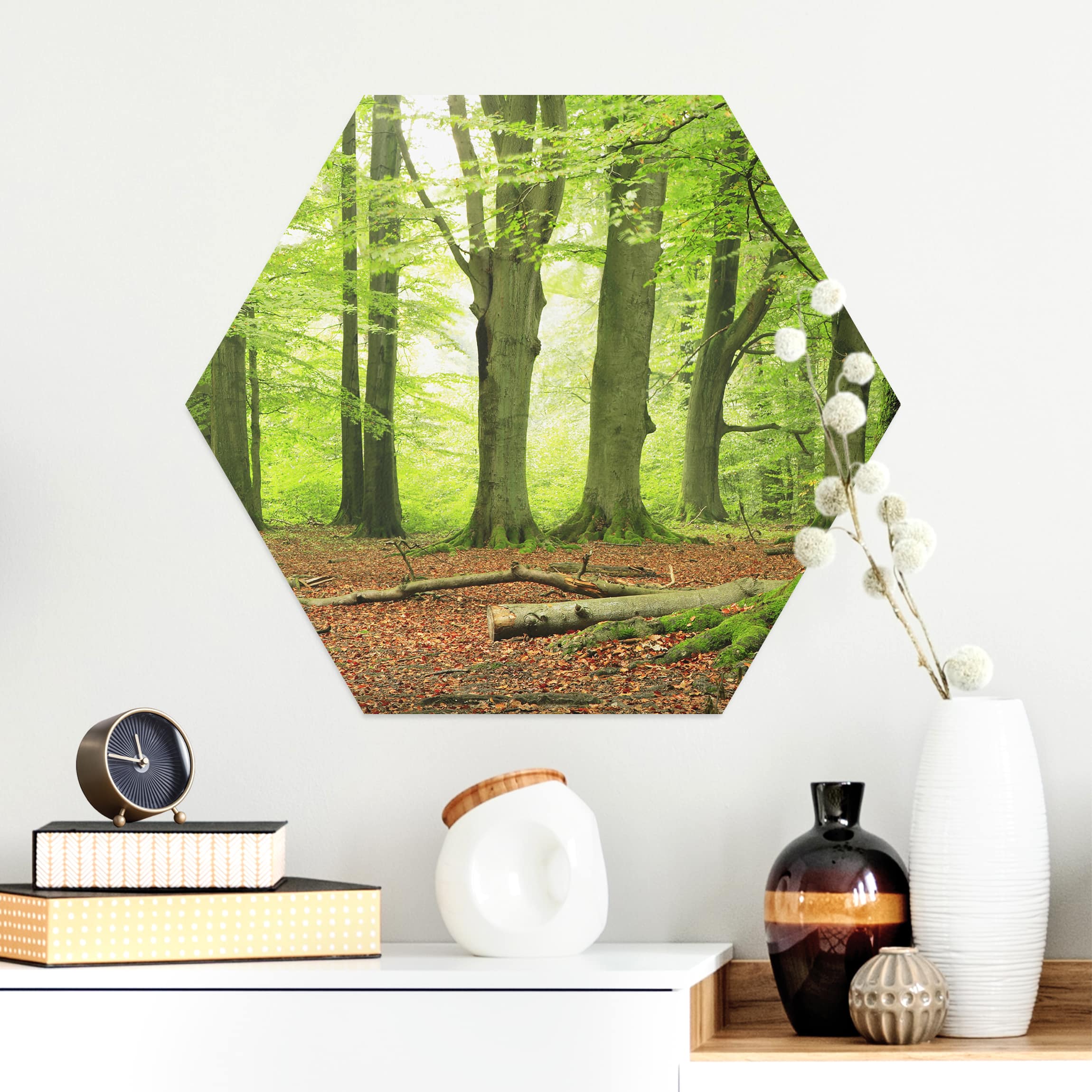 Hexagon-Alu-Dibond Bild Mighty Beech Trees