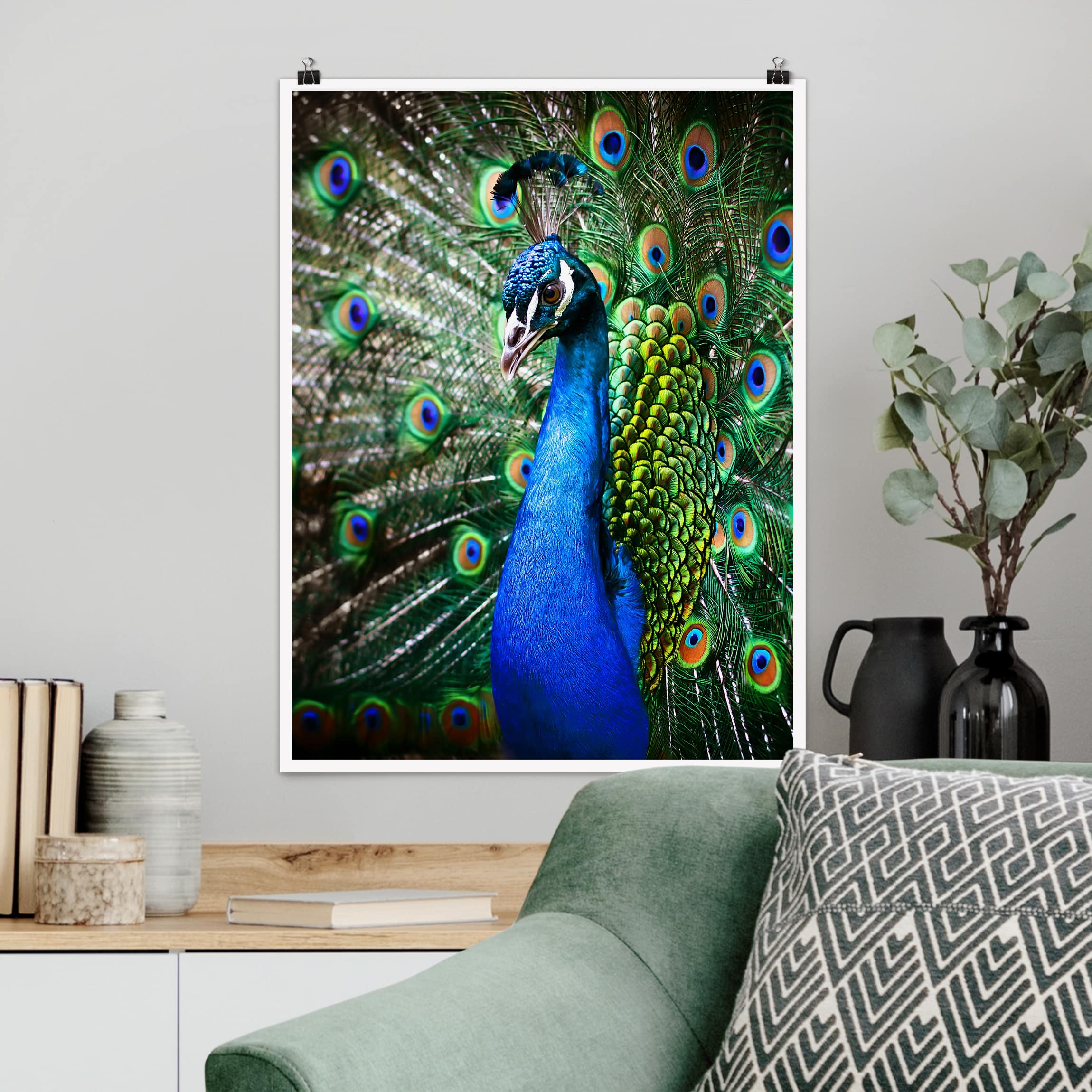 Poster Tiere Edler Pfau