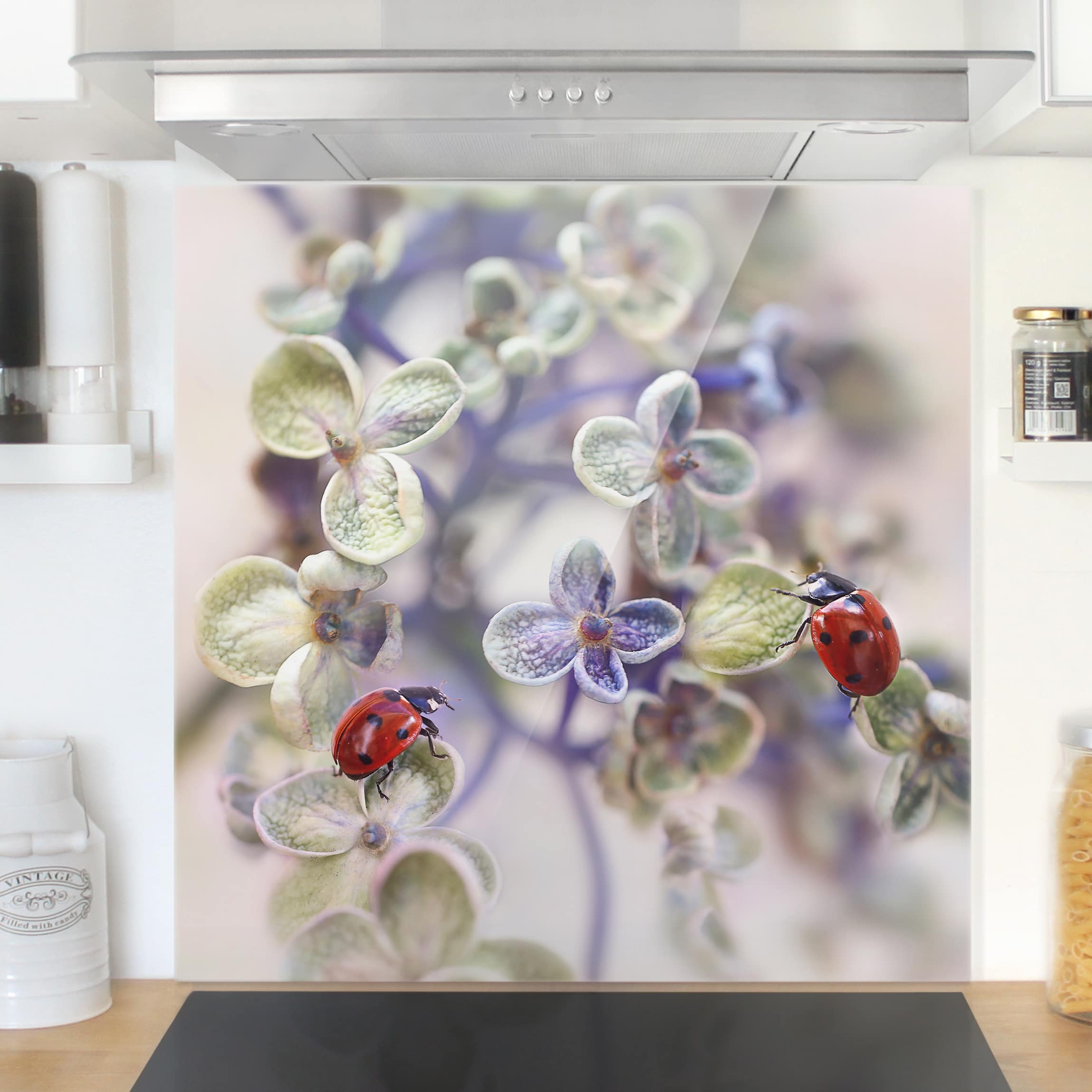 Spritzschutz Marienkäfer im Garten