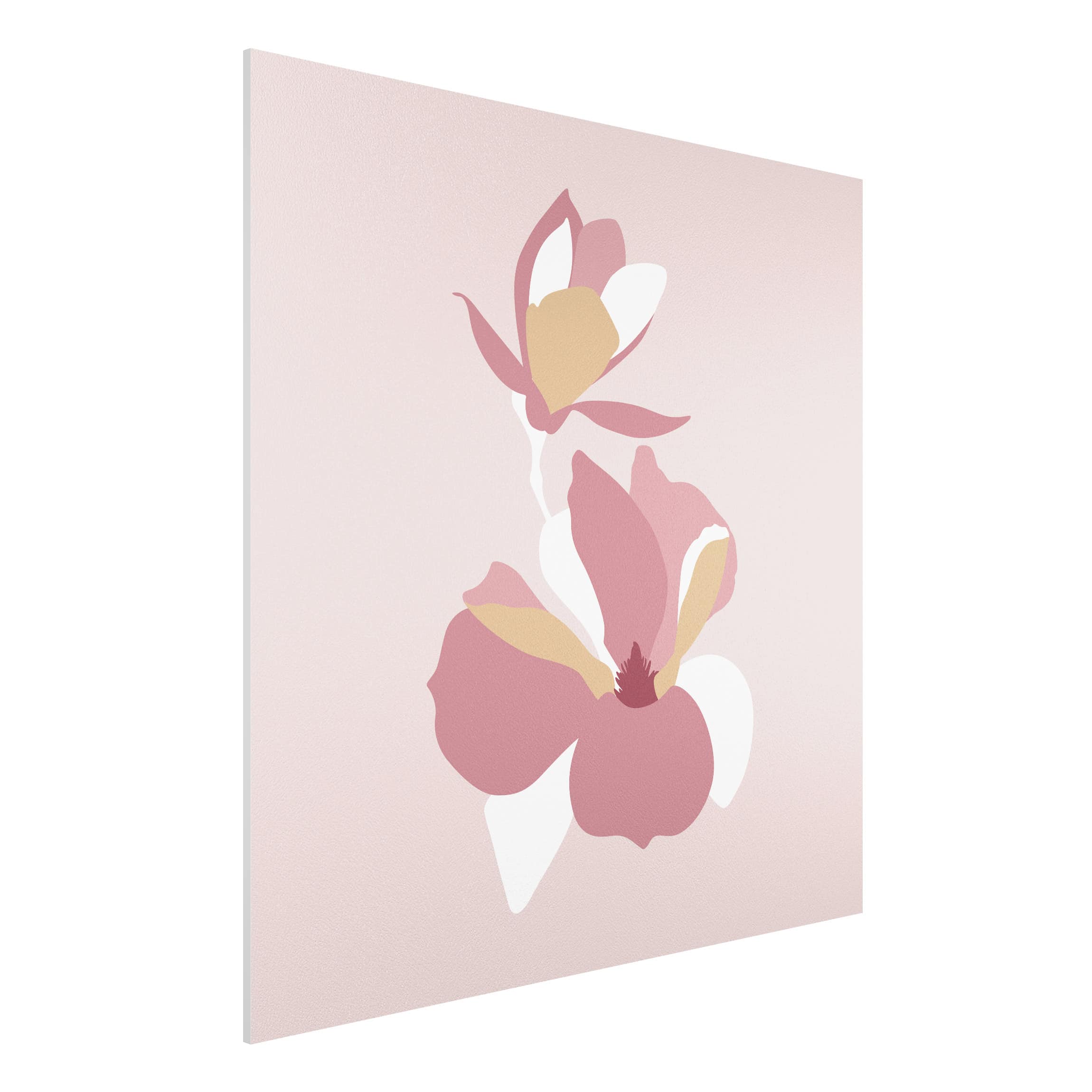 Forexbild - Quadrat Line Art Blüten Pastell Rosa