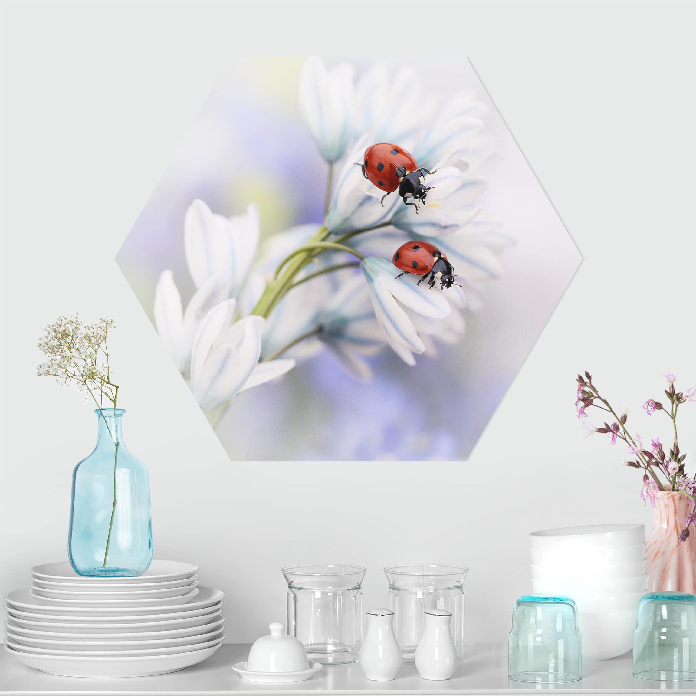 Hexagon-Alu-Dibond Bild Marienkäfer Paar