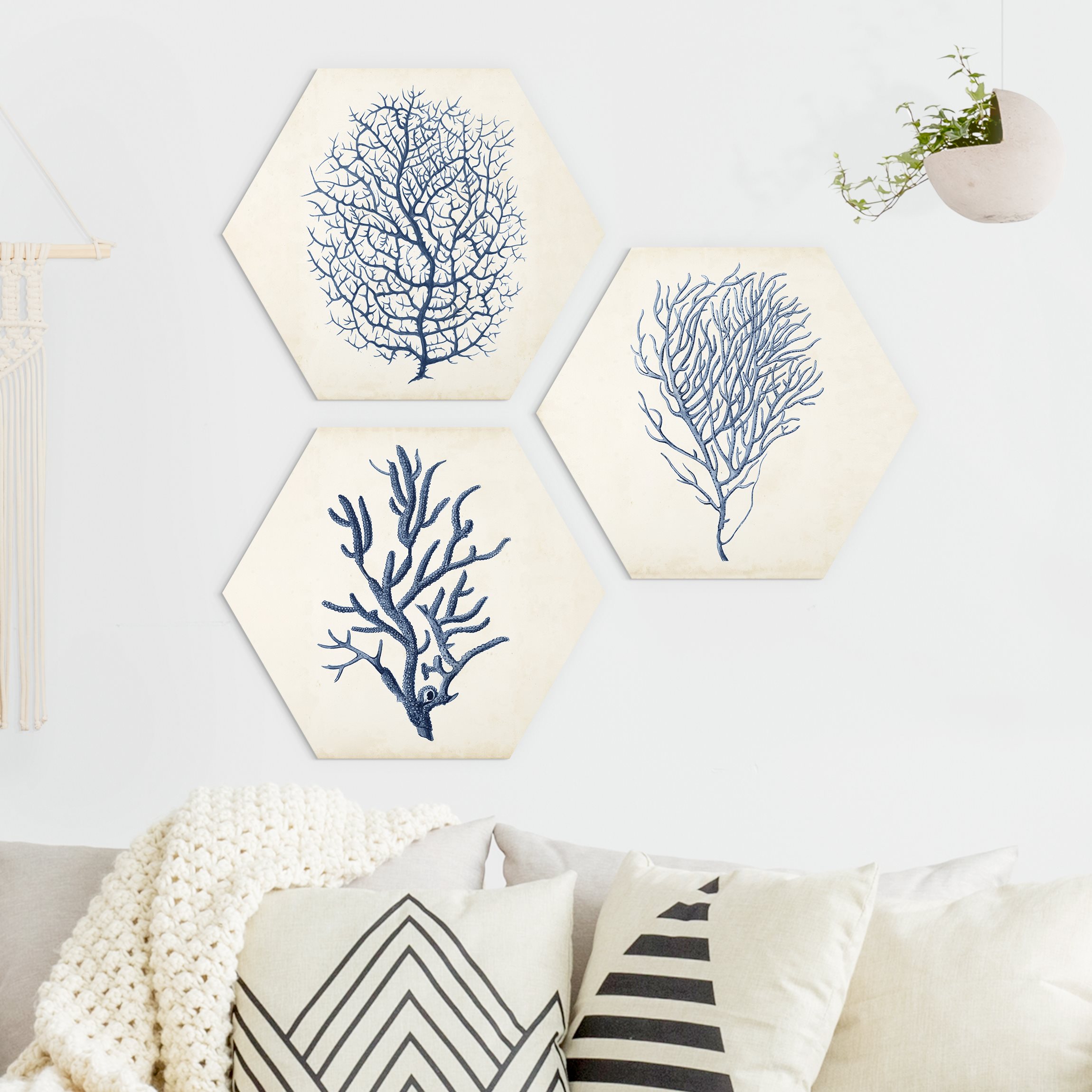 3-teiliges Hexagon-Alu-Dibond Bild Indigo Koralle Set I