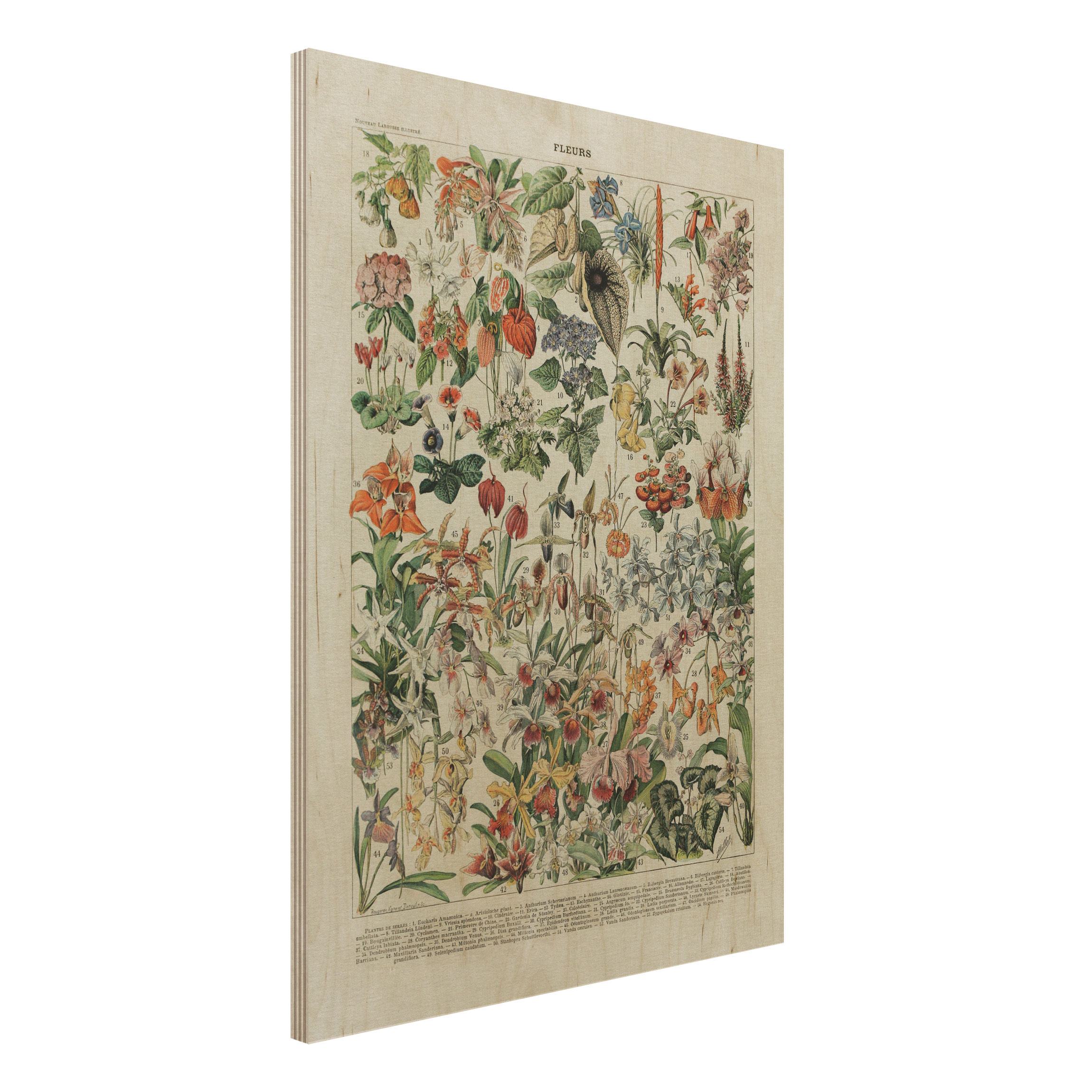 Holzbild - Hochformat 3:4 Vintage Lehrtafel Blumen III