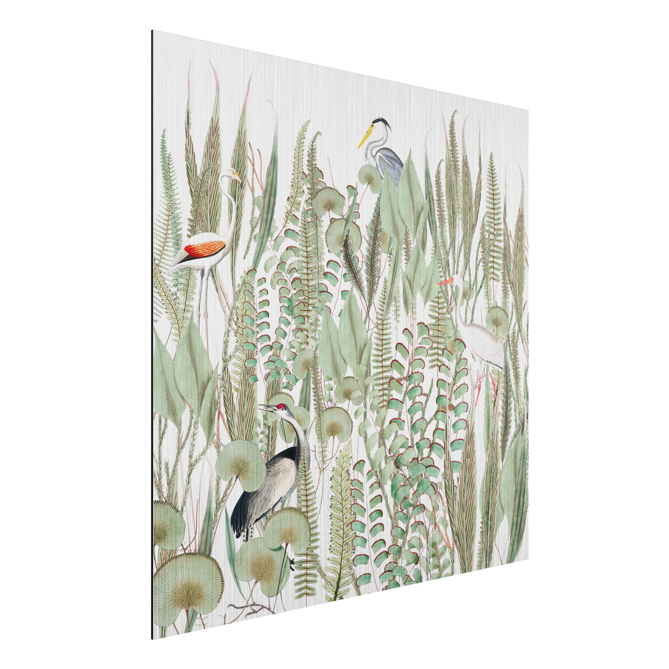 Alu-Dibond Bild Flamingo und Storch mit Pflanzen