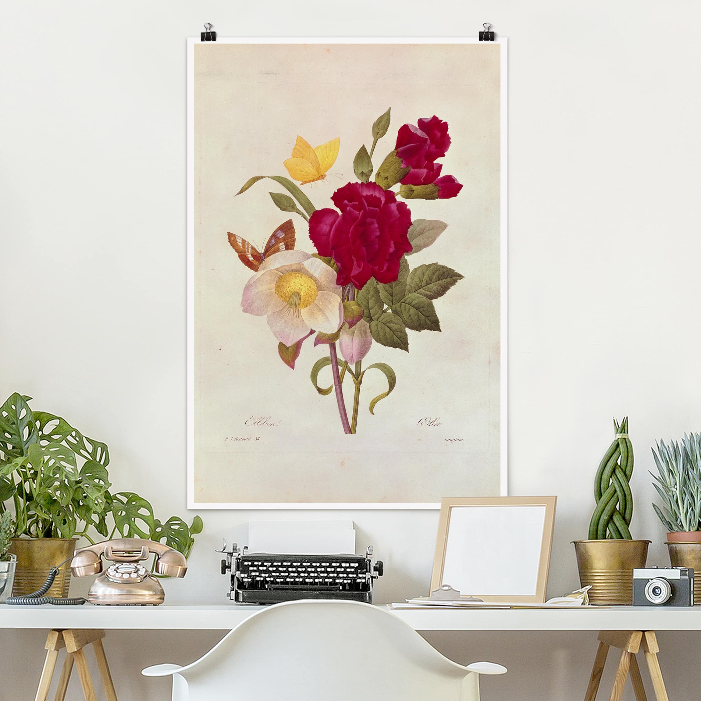 Poster - Hochformat Pierre Joseph Redouté - Christrosen