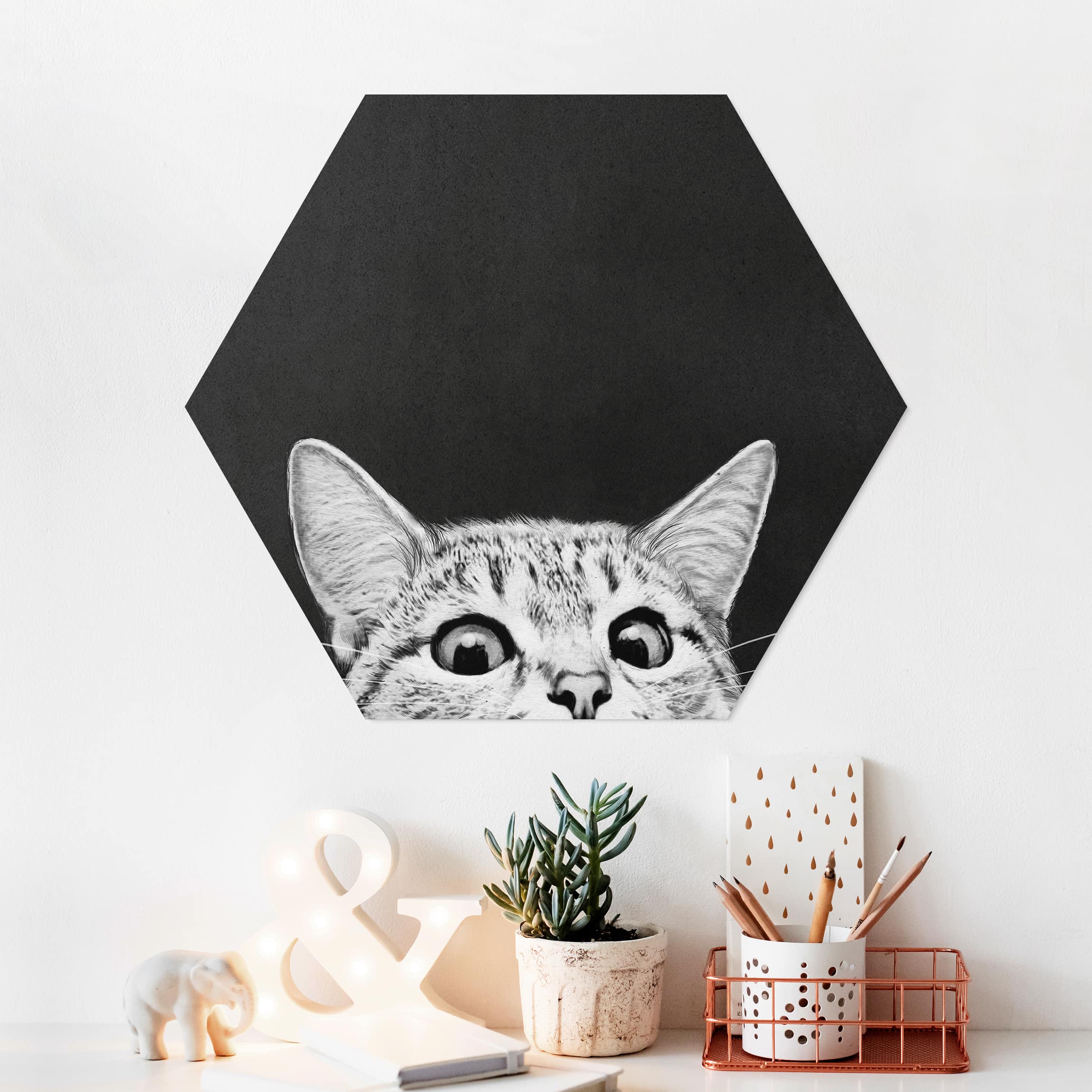 Hexagon-Forexbild Illustration Katze Schwarz Weiß Zeichnung