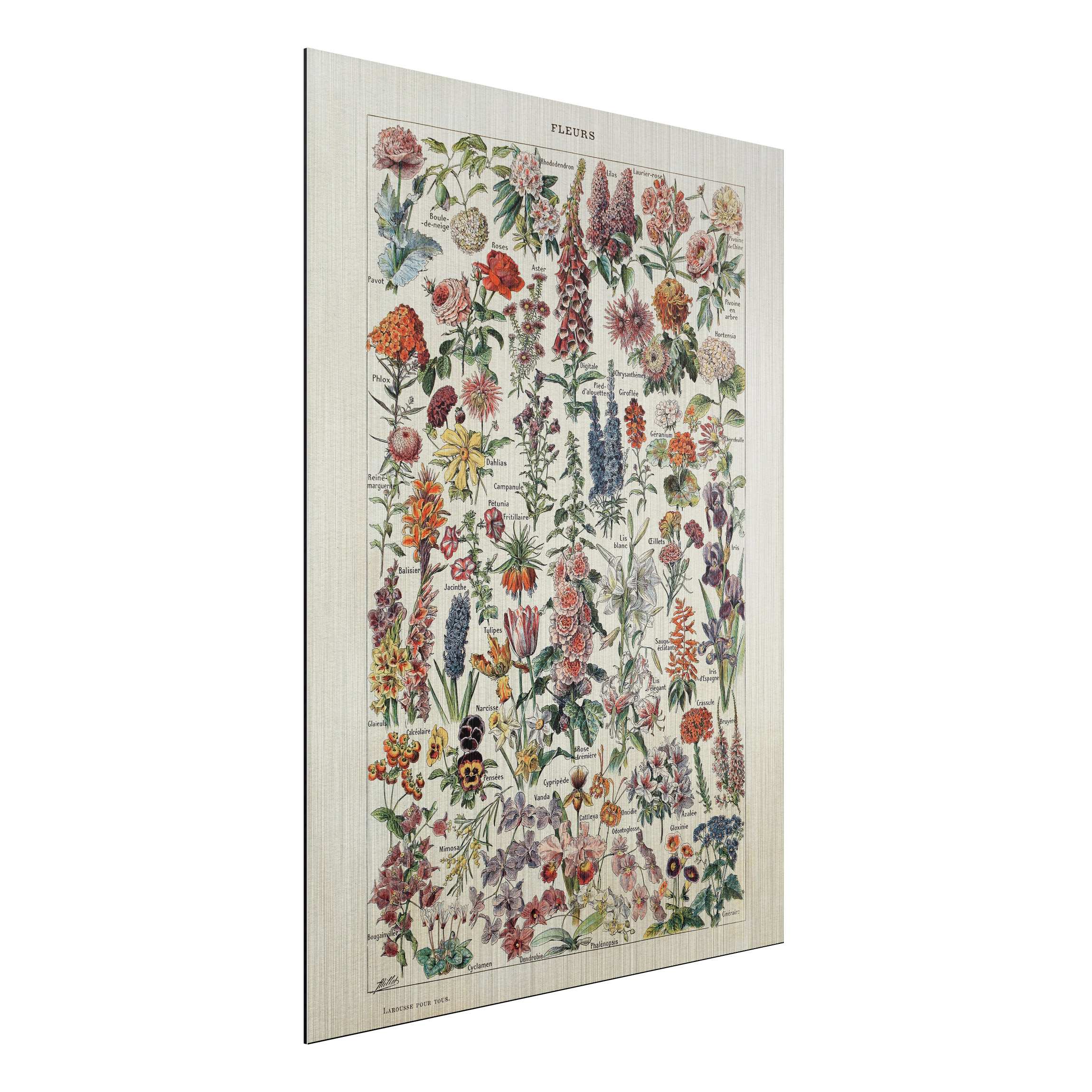 Alu-Dibond Outdoor Bild Vintage Lehrtafel Blumen V