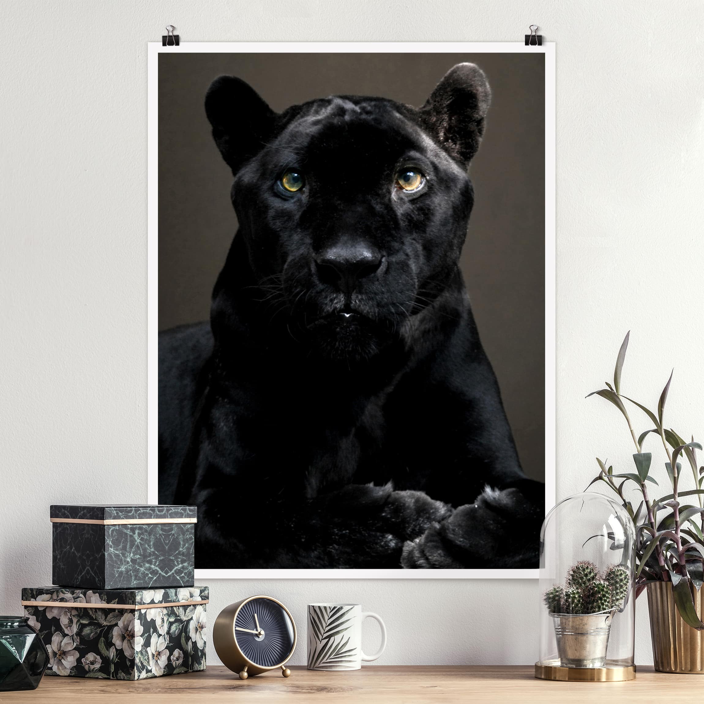 Poster Tiere Black Puma