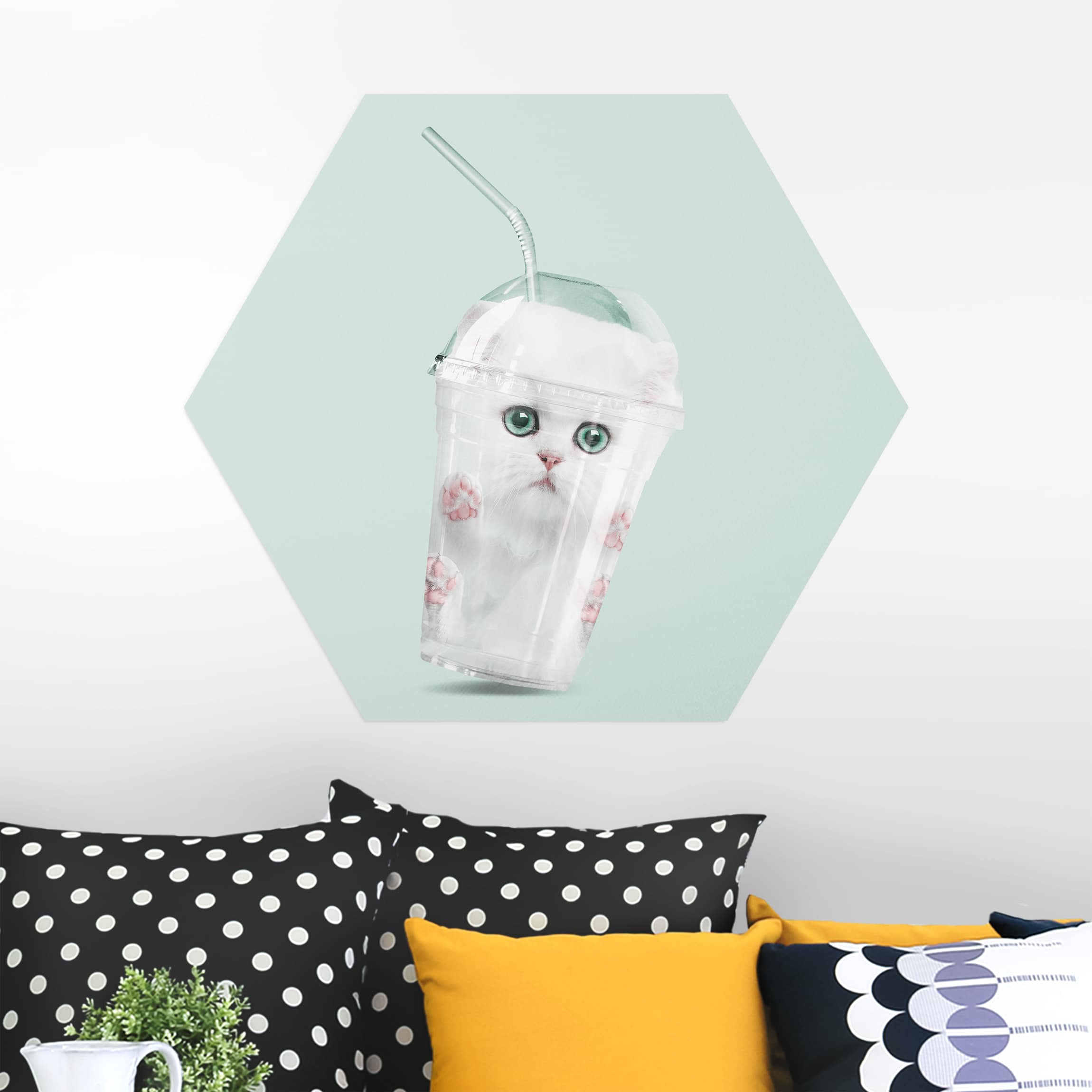 Hexagon-Alu-Dibond Bild Shake mit Katze