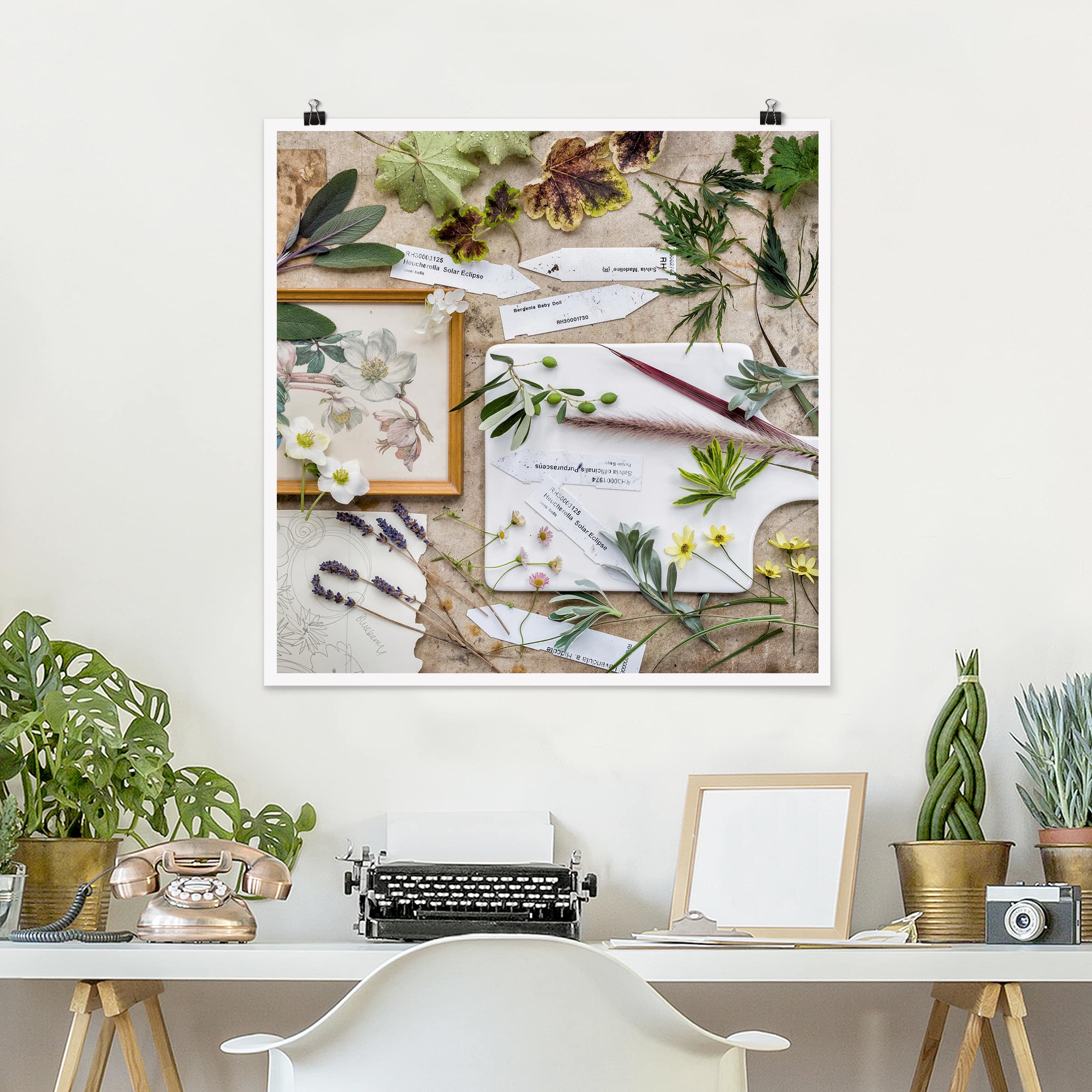 Poster - Quadrat Blumen und Gartenkräuter Vintage