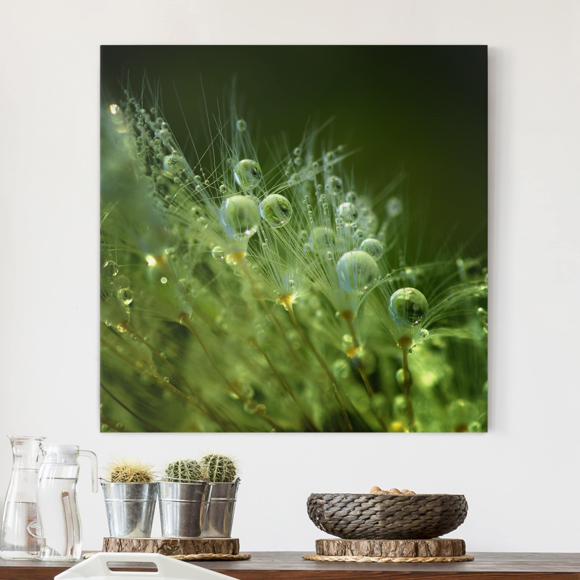 Leinwandbild - Quadrat Grüne Samen im Regen