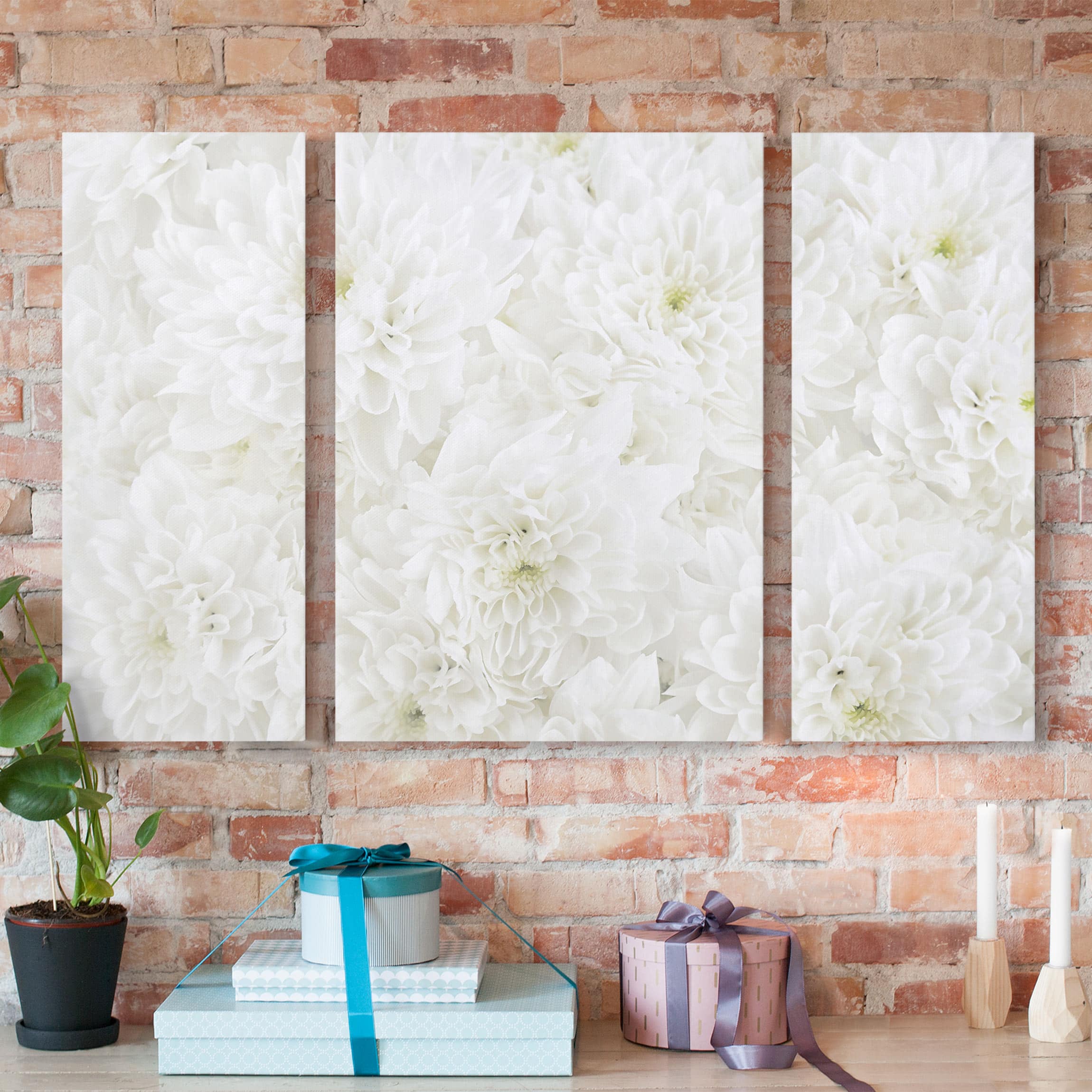 3-teiliges Leinwandbild Blumen Dahlien Blumenmeer weiß