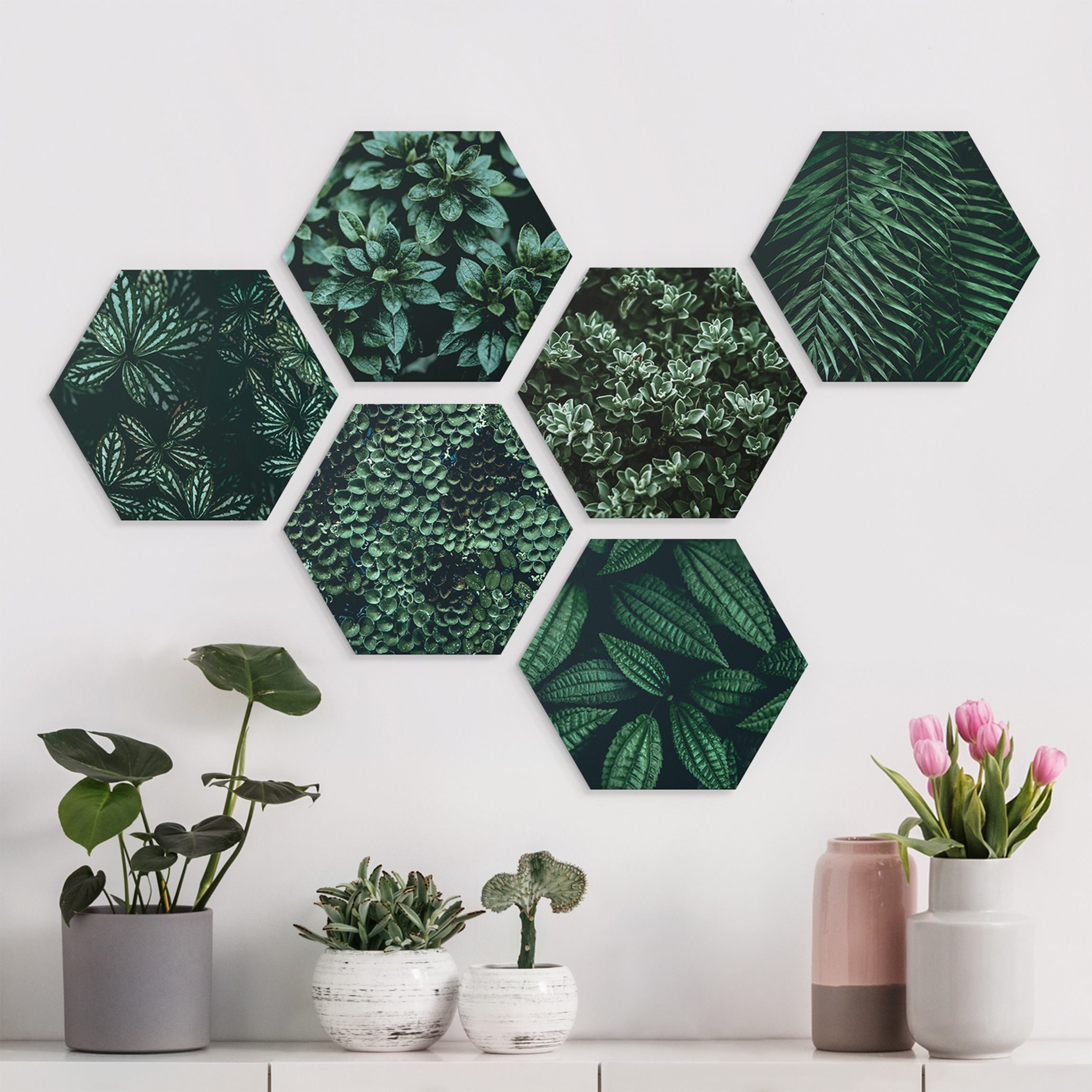 6-teiliges Hexagon-Alu-Dibond Bild Grüne Blätter Set II
