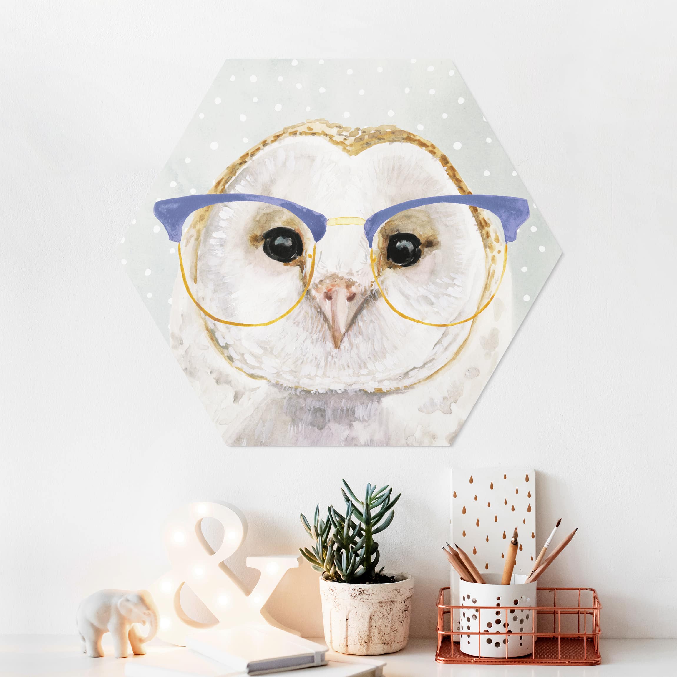 Hexagon-Forexbild Bebrillte Tiere - Eule