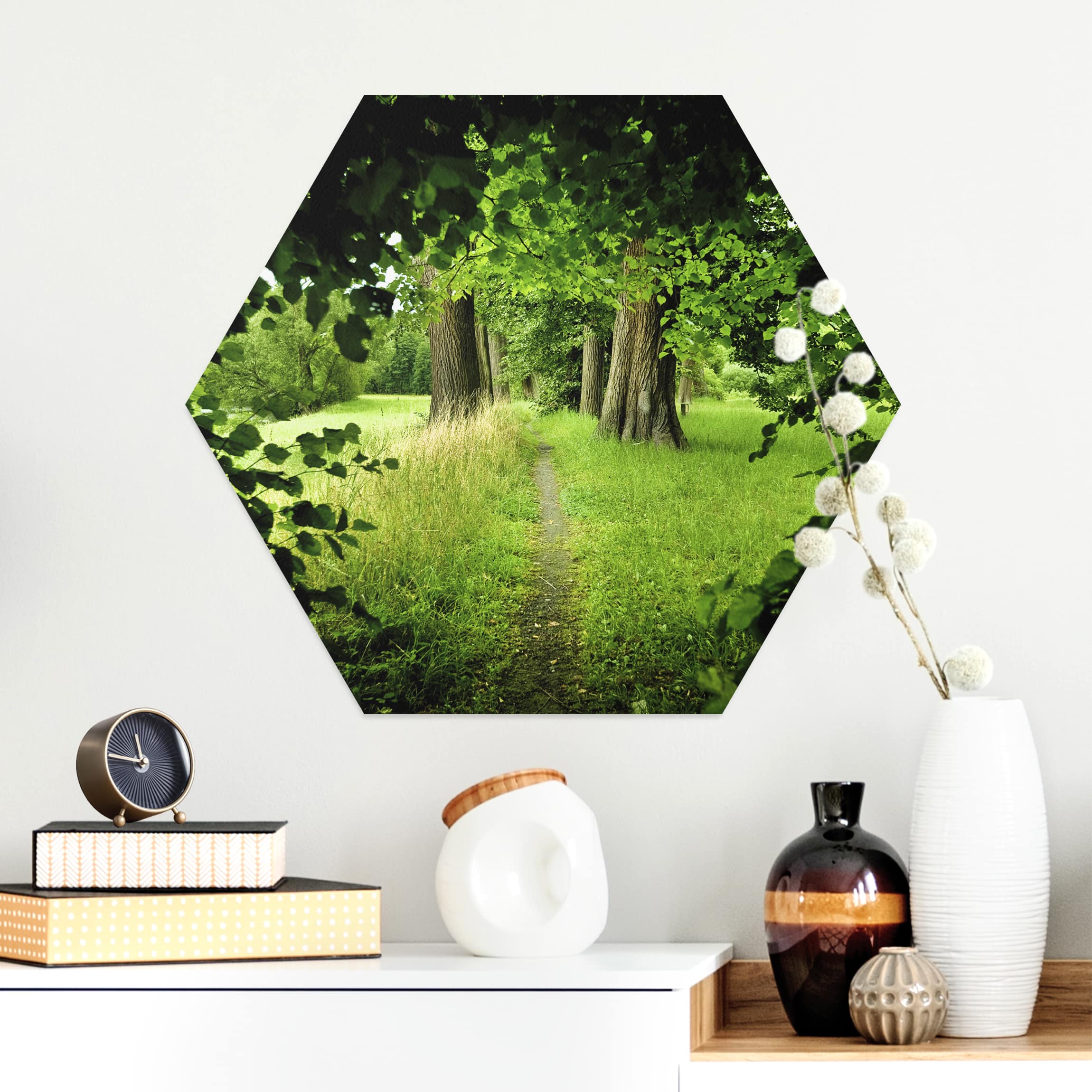 Hexagon-Alu-Dibond Bild Verborgene Lichtung