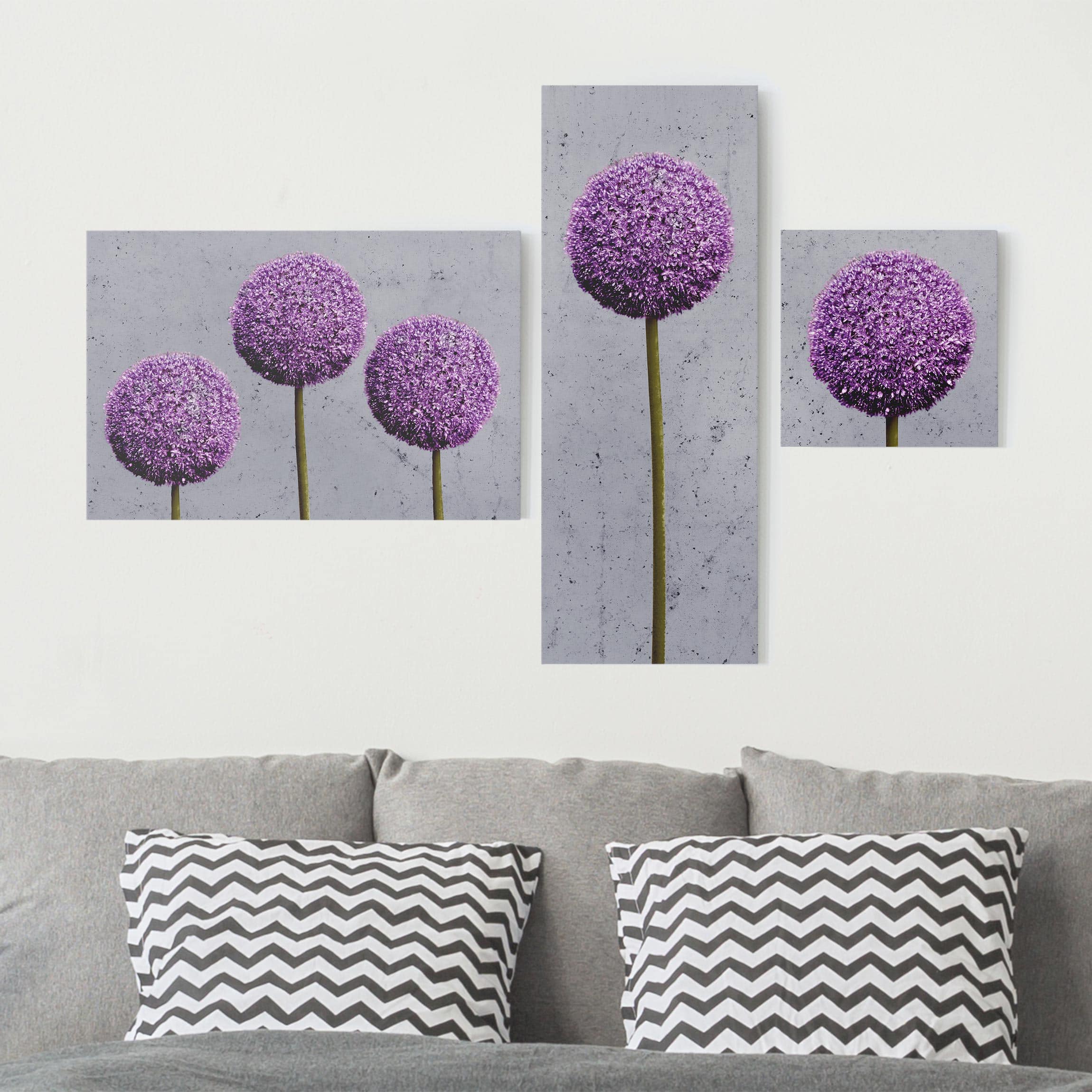 3-teiliges Leinwandbild - Querformat Allium Blüten Kugeln
