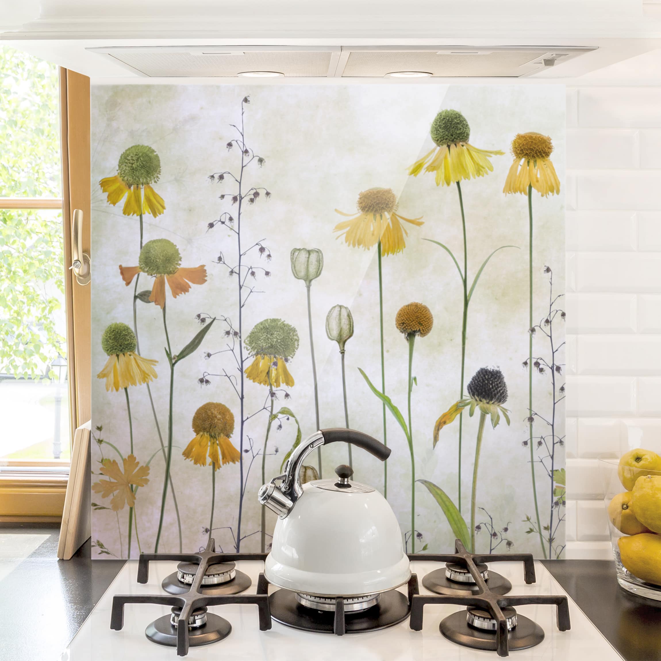 Spritzschutz Zarte Helenium Blüten