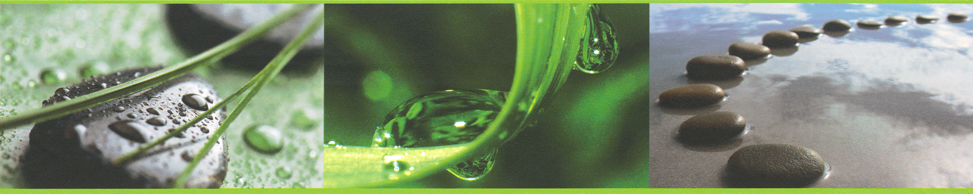 Mustertapete A.S. Création Only Borders 9 in Braun Grün Schwarz - 905611