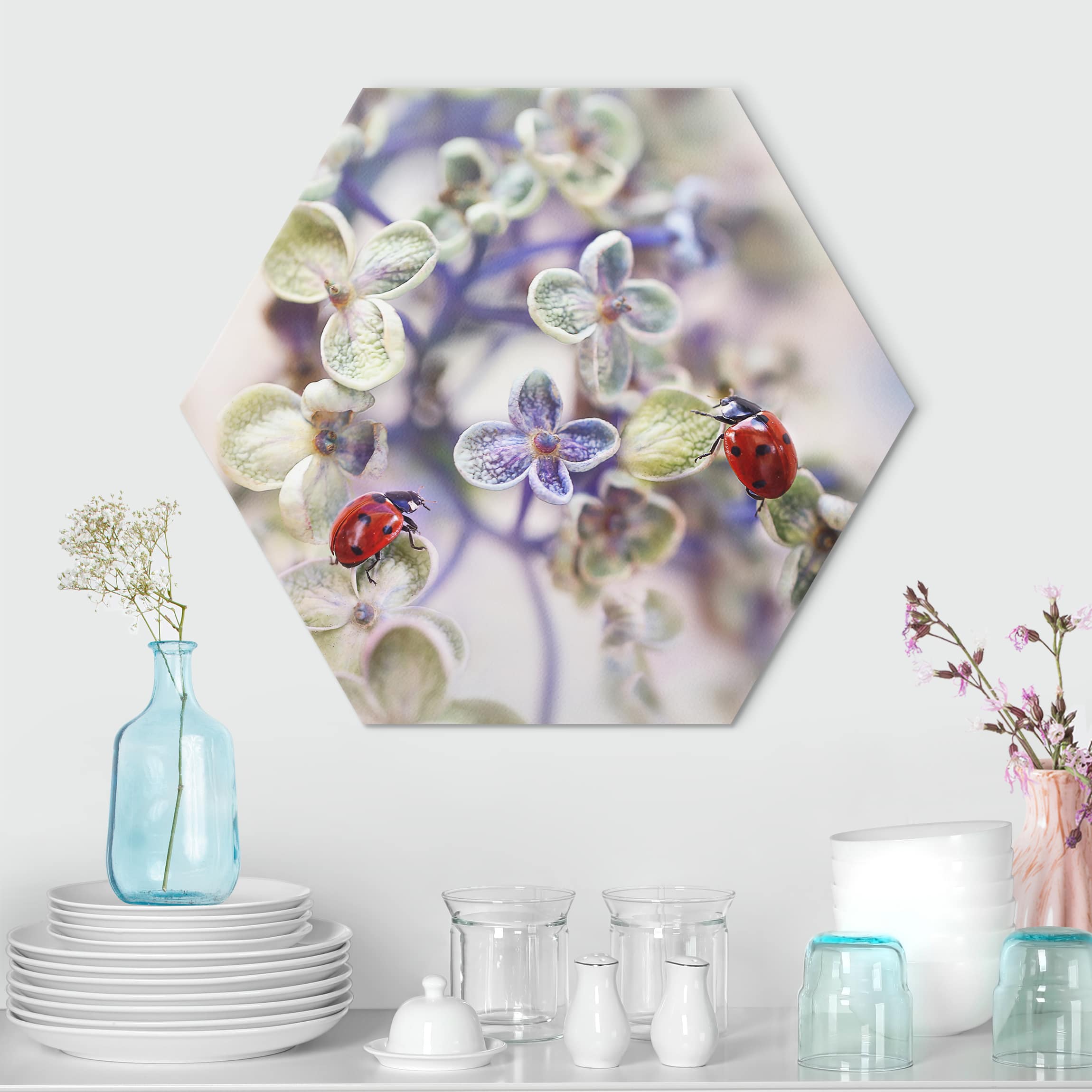 Hexagon-Alu-Dibond Bild Marienkäfer im Garten