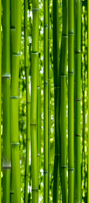 Mustertapete Livingwalls pop.up Panel in Grün - 943661