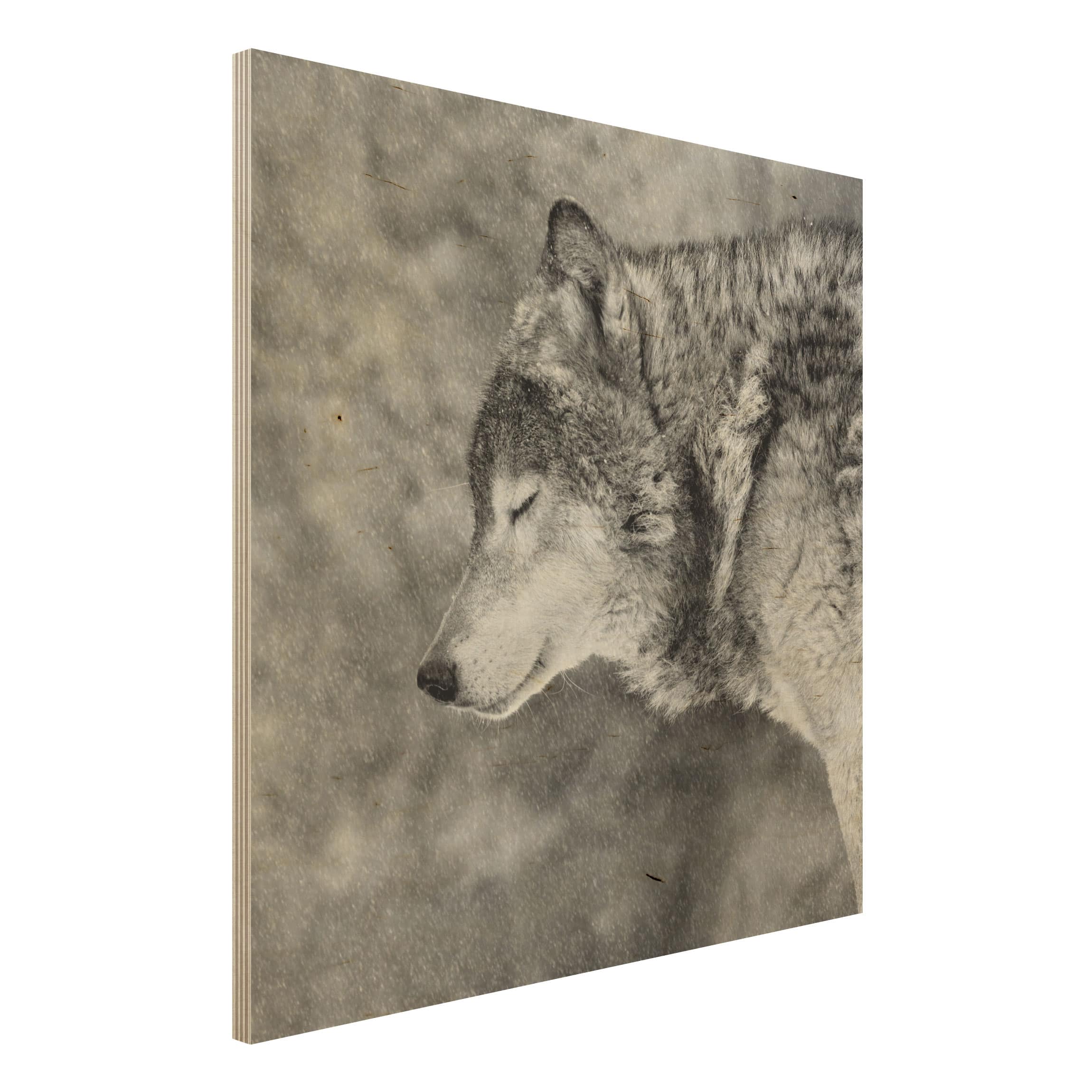 Holzbild Tiere Winter Wolf